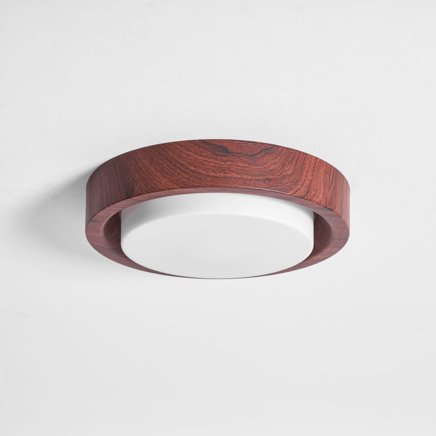 Terienine Lunor Ring Ceiling Light