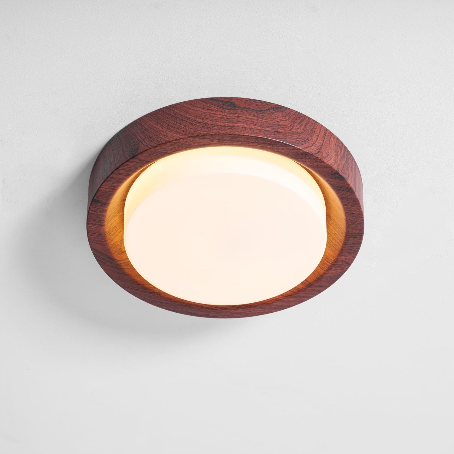 Terienine Lunor Ring Ceiling Light