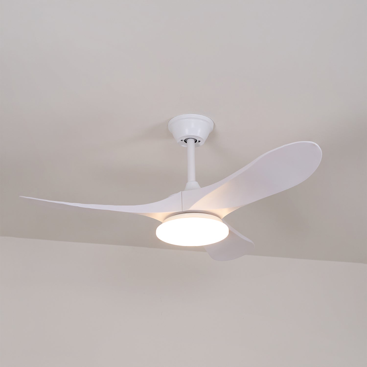Miriveon Drift Ceiling Fan Light