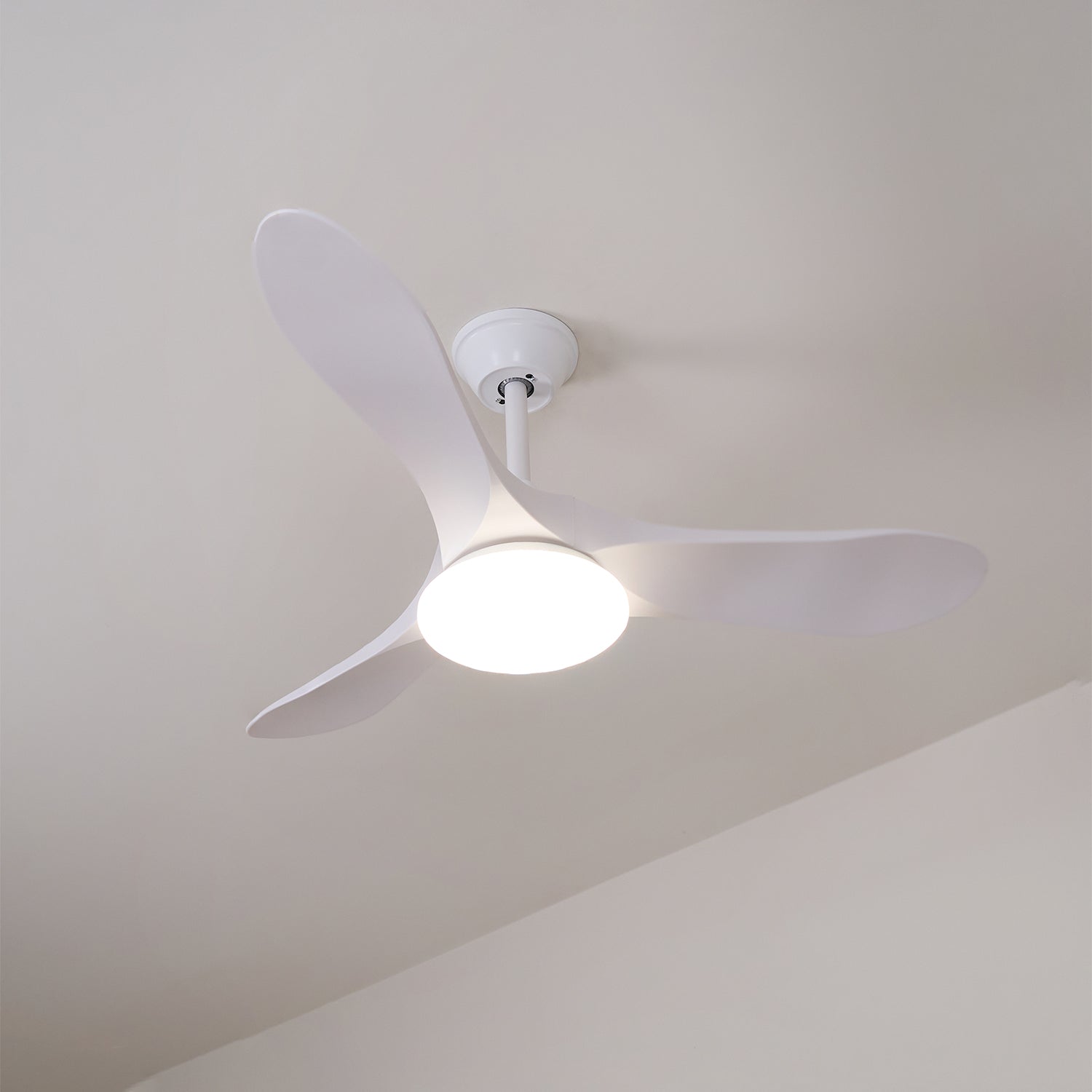 Miriveon Drift Ceiling Fan Light