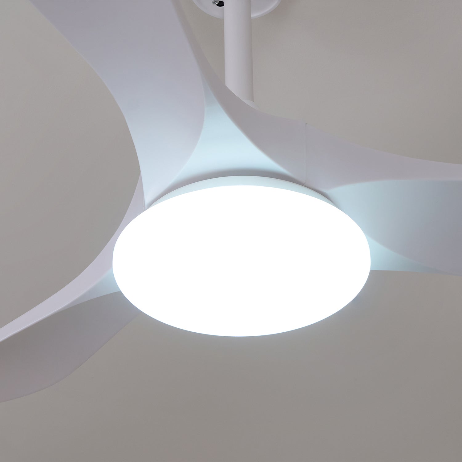 Miriveon Drift Ceiling Fan Light