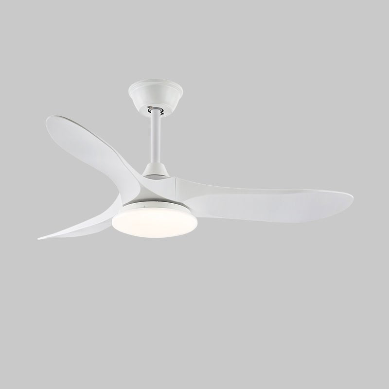 Miriveon Drift Ceiling Fan Light