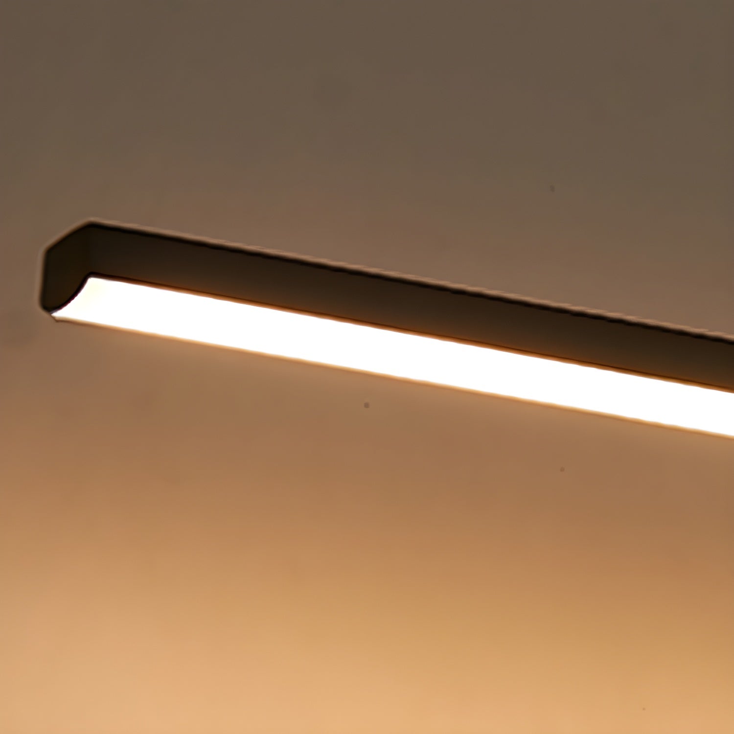 Elainella Wall Light