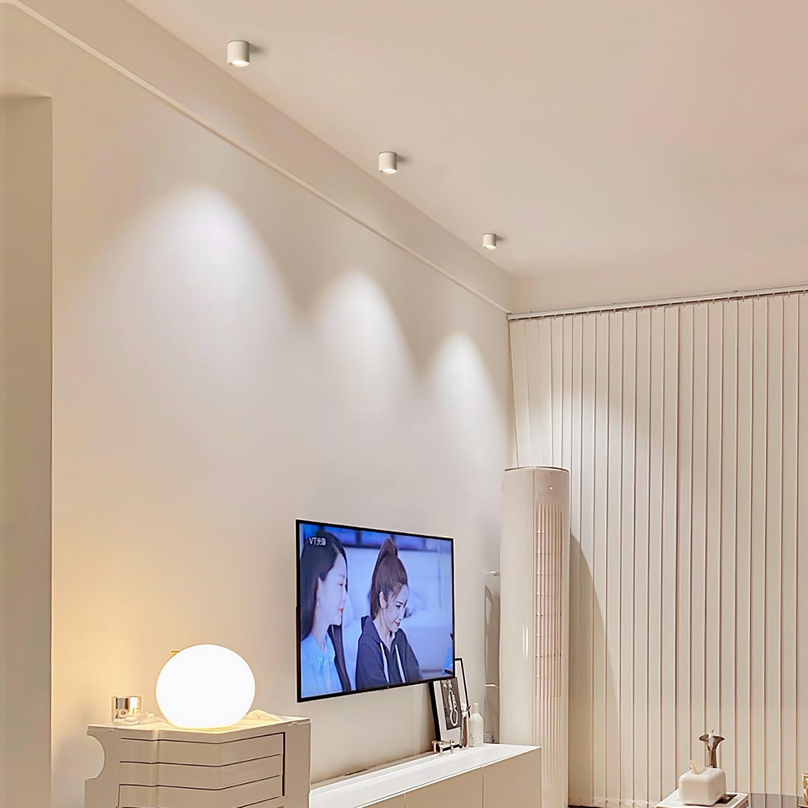 Celinaya Ceiling Light Acrylic