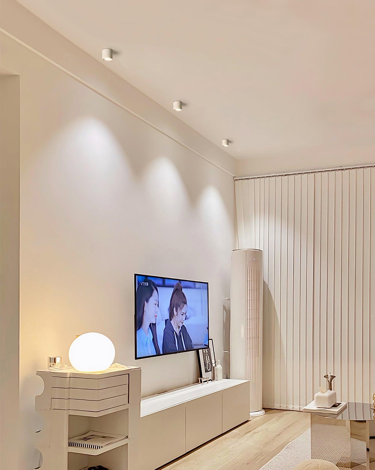 Celinaya Ceiling Light Acrylic