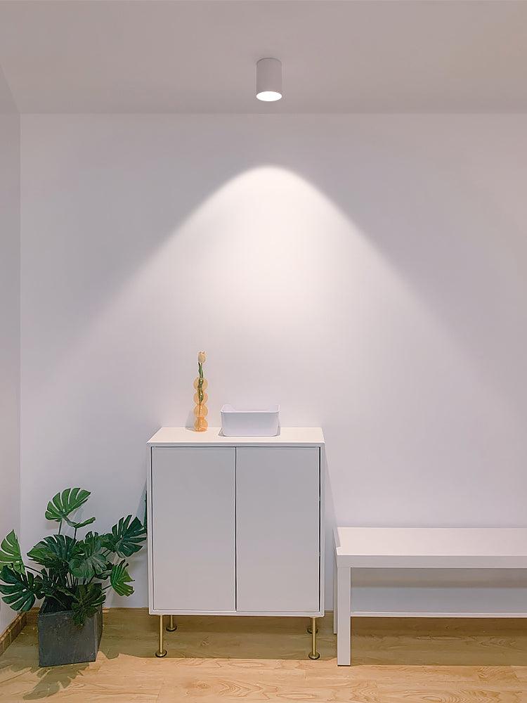 Celinaya Ceiling Light Acrylic