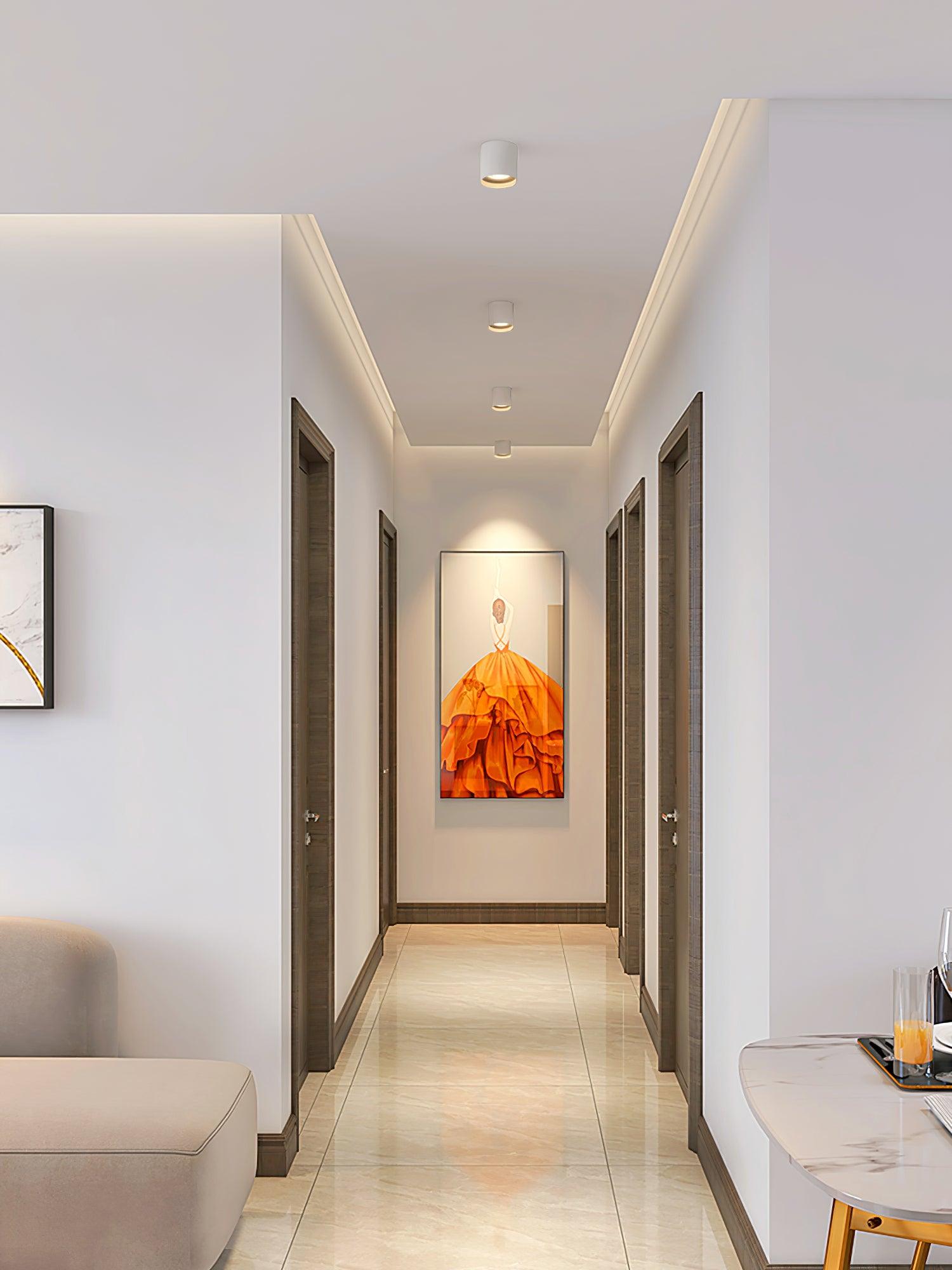 Celinaya Ceiling Light Acrylic