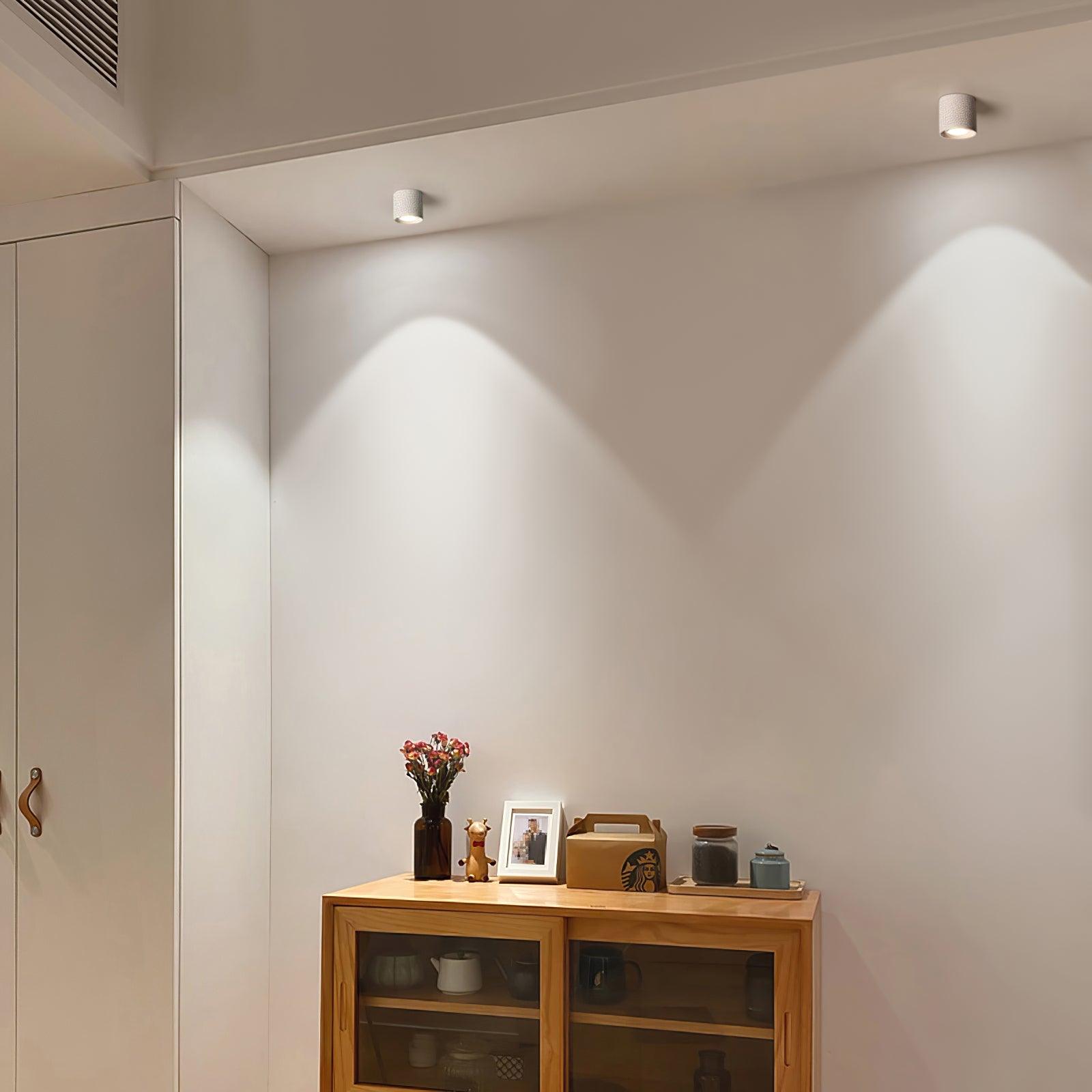 Celinaya Ceiling Light Acrylic