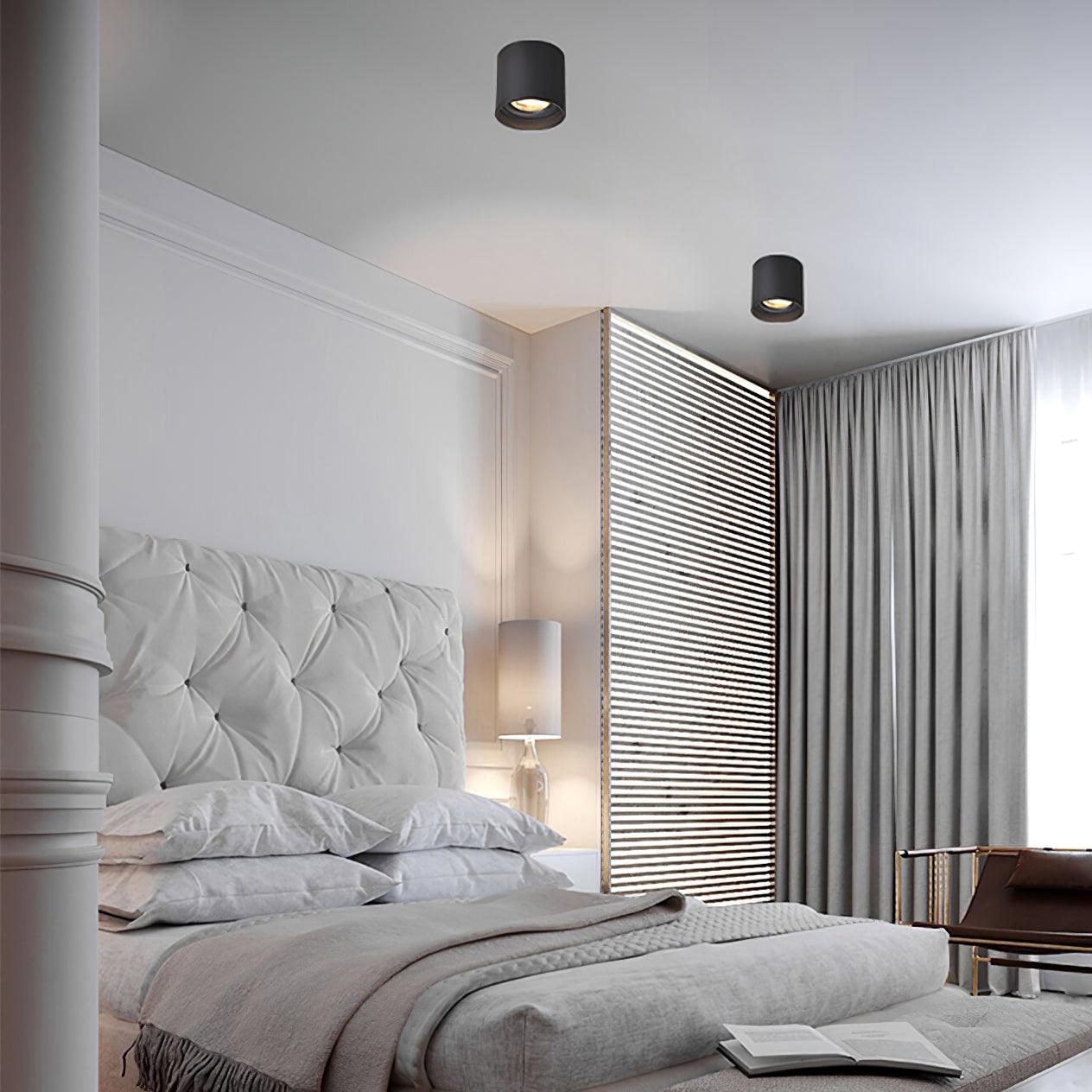 Celinaya Ceiling Light Acrylic