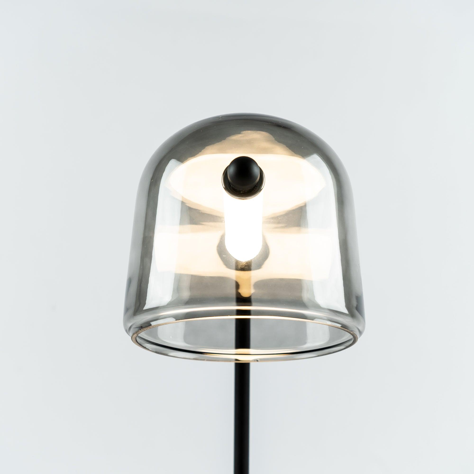 Caronel Modern Glass Table Light