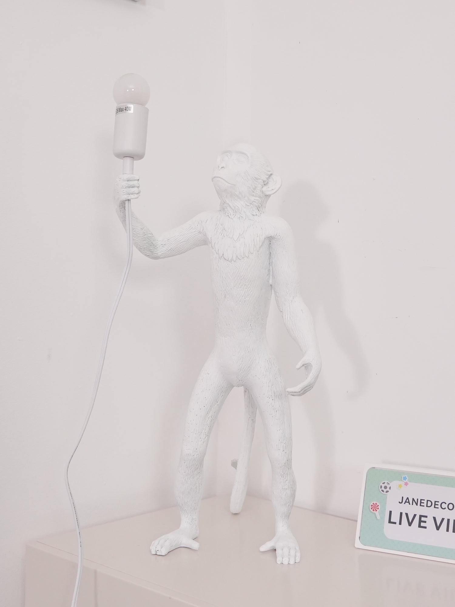 Nirielia Resin Whimsical Table Lamp