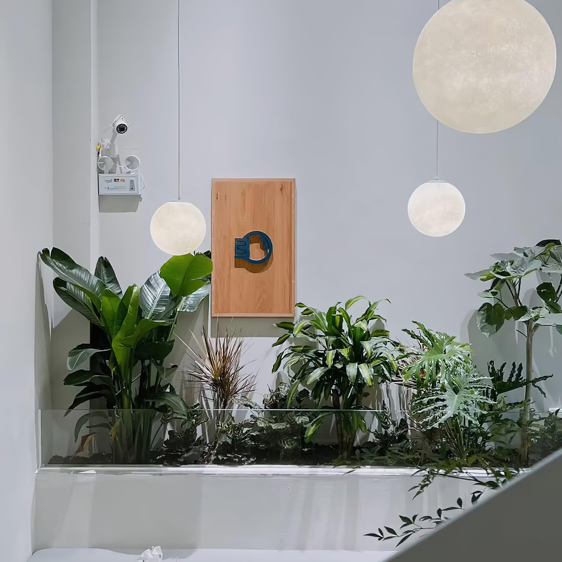 Miralaine Pendant Lamp Moon Shaped for Living Room