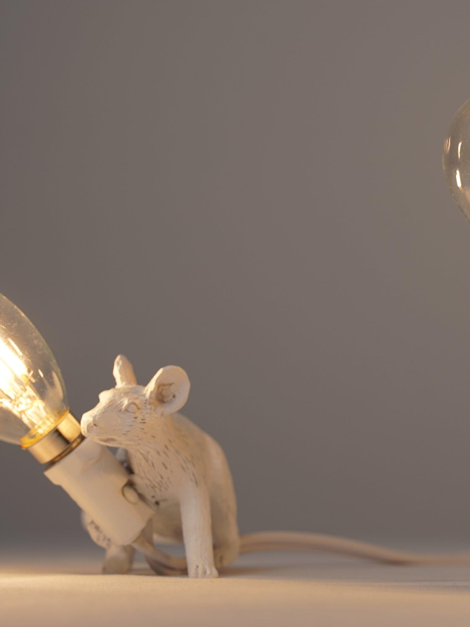 Kalinix Resin Whimsical Table Light
