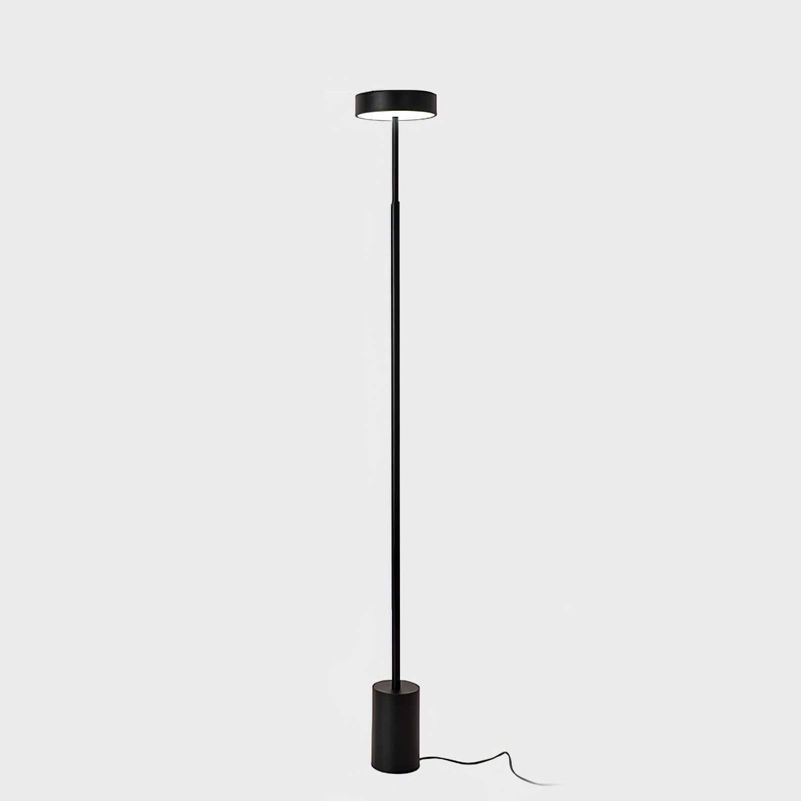 Circa Minimalist Rotatable Floor Lamp