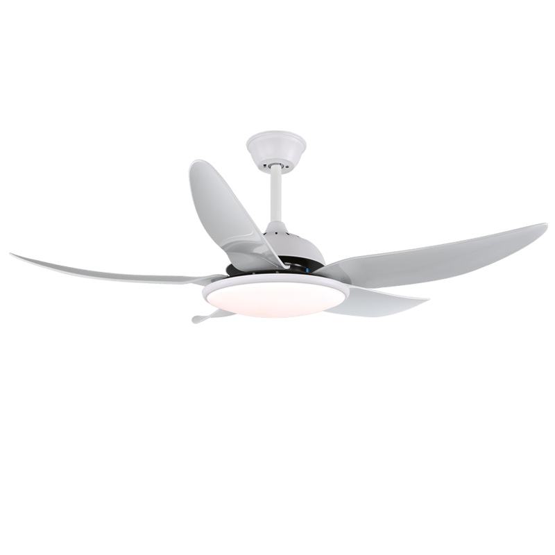 Aquila Modern Ceiling Fan Light