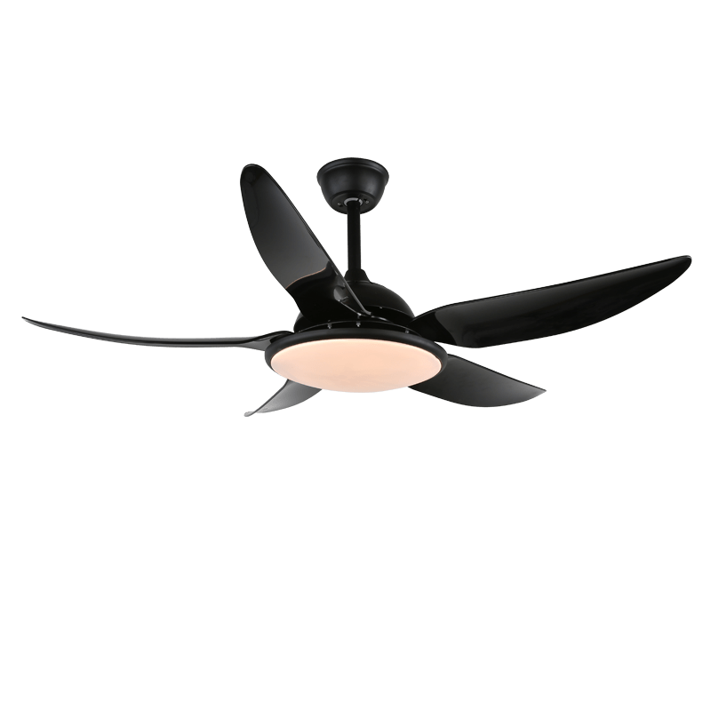 Aquila Modern Ceiling Fan Light