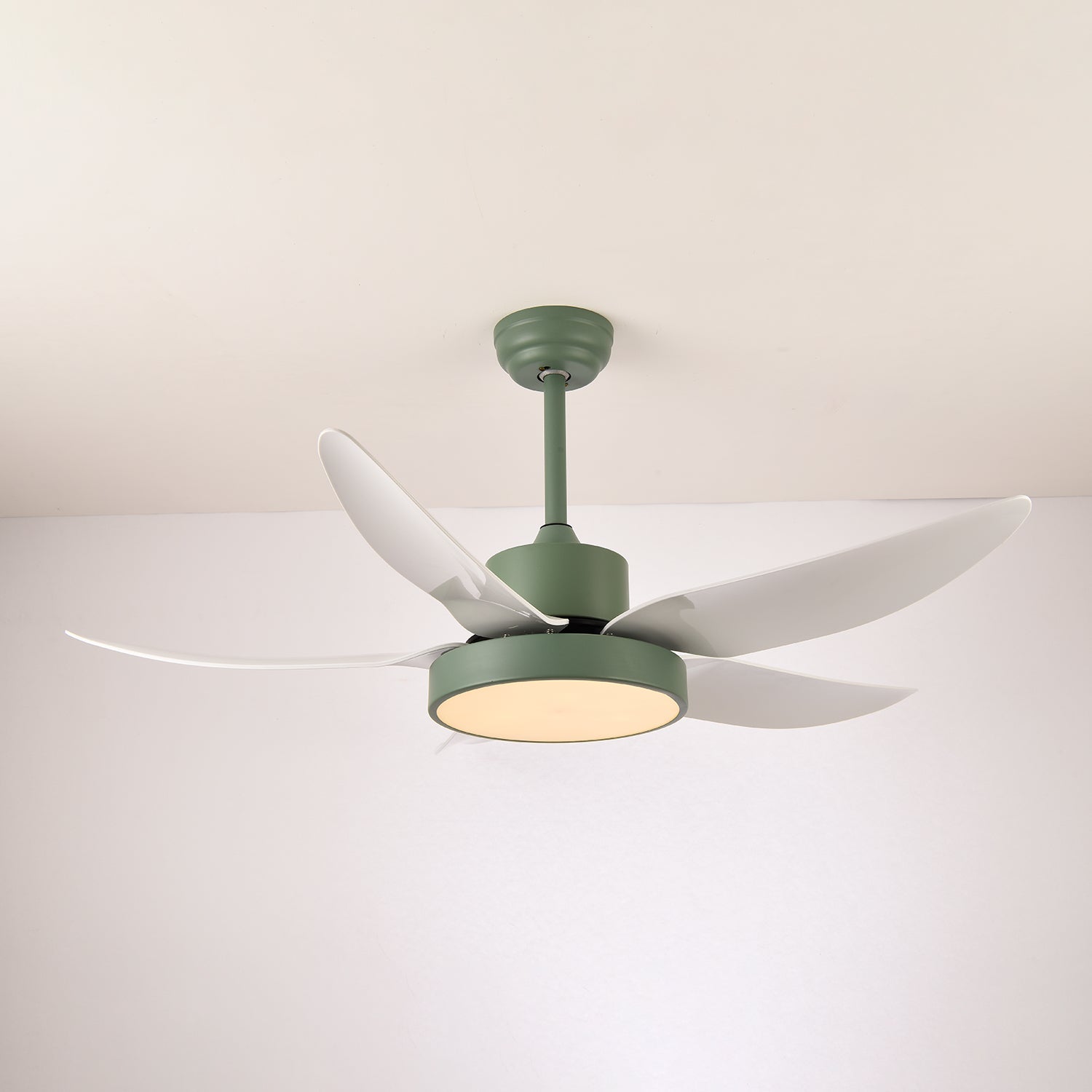 Selalise Modern Ceiling Fan Light