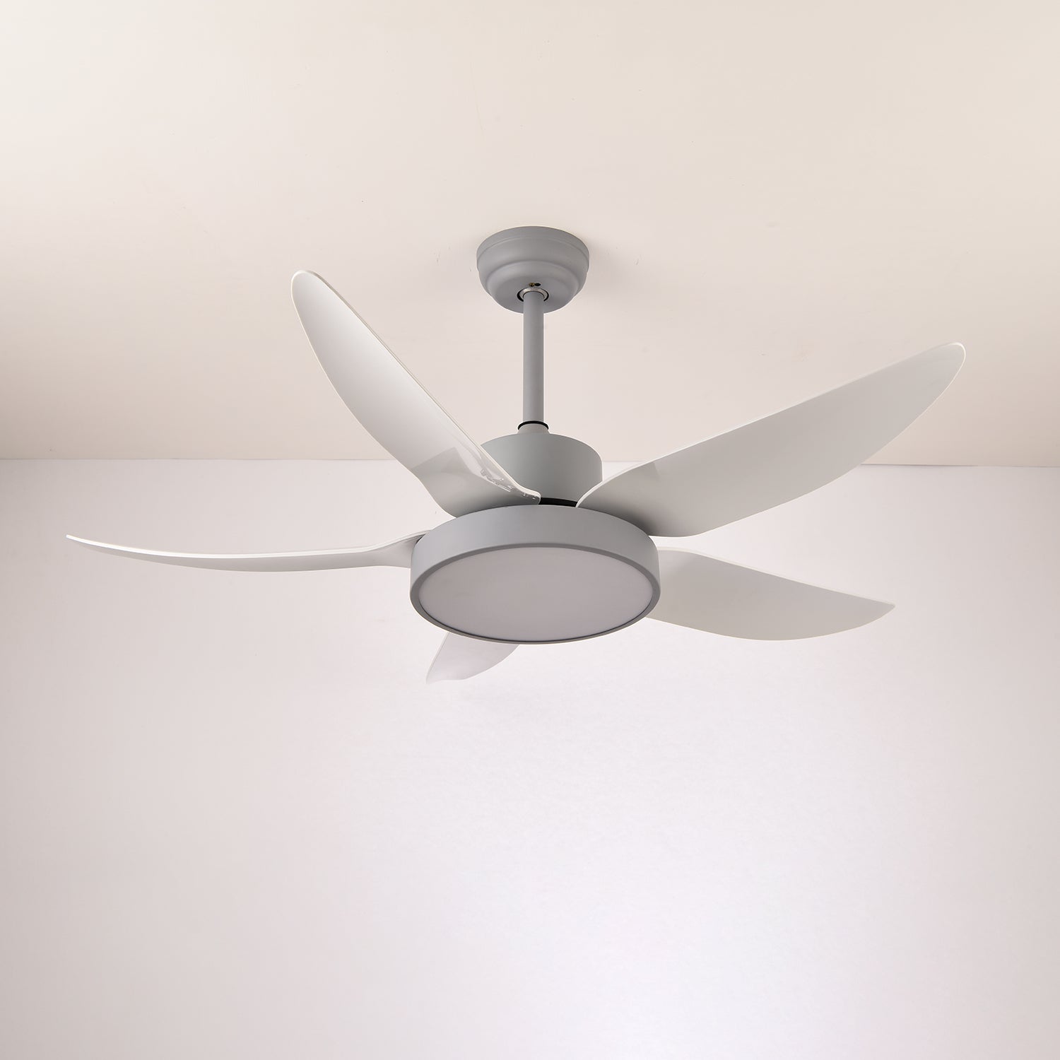 Selalise Modern Ceiling Fan Light