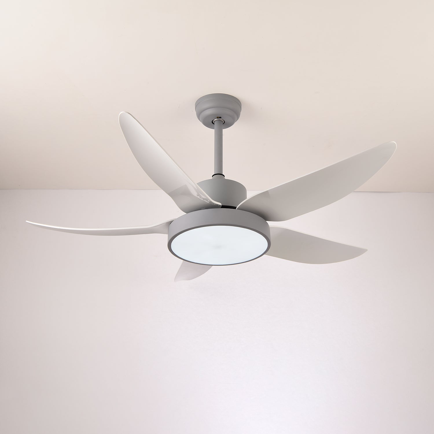 Selalise Modern Ceiling Fan Light
