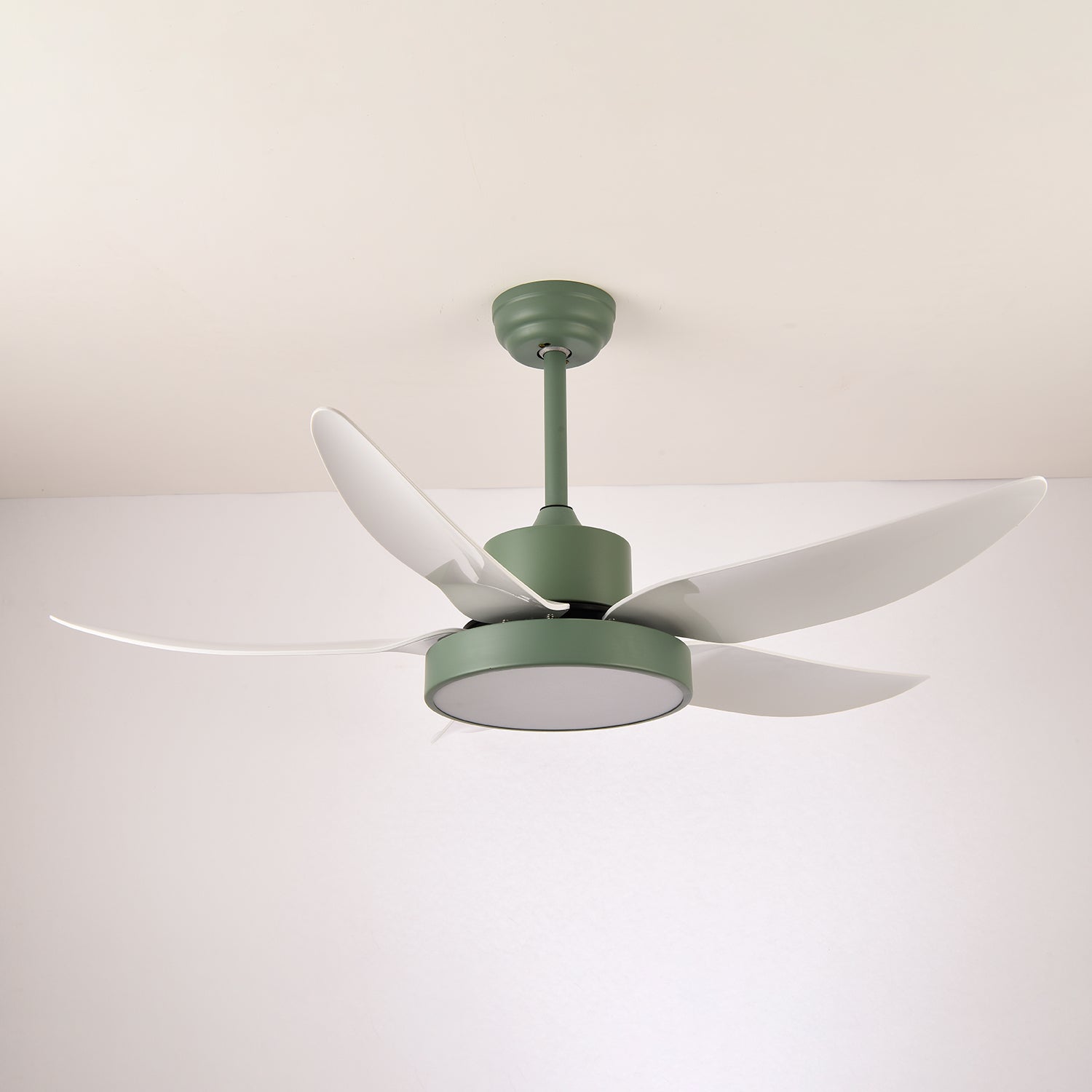 Selalise Modern Ceiling Fan Light