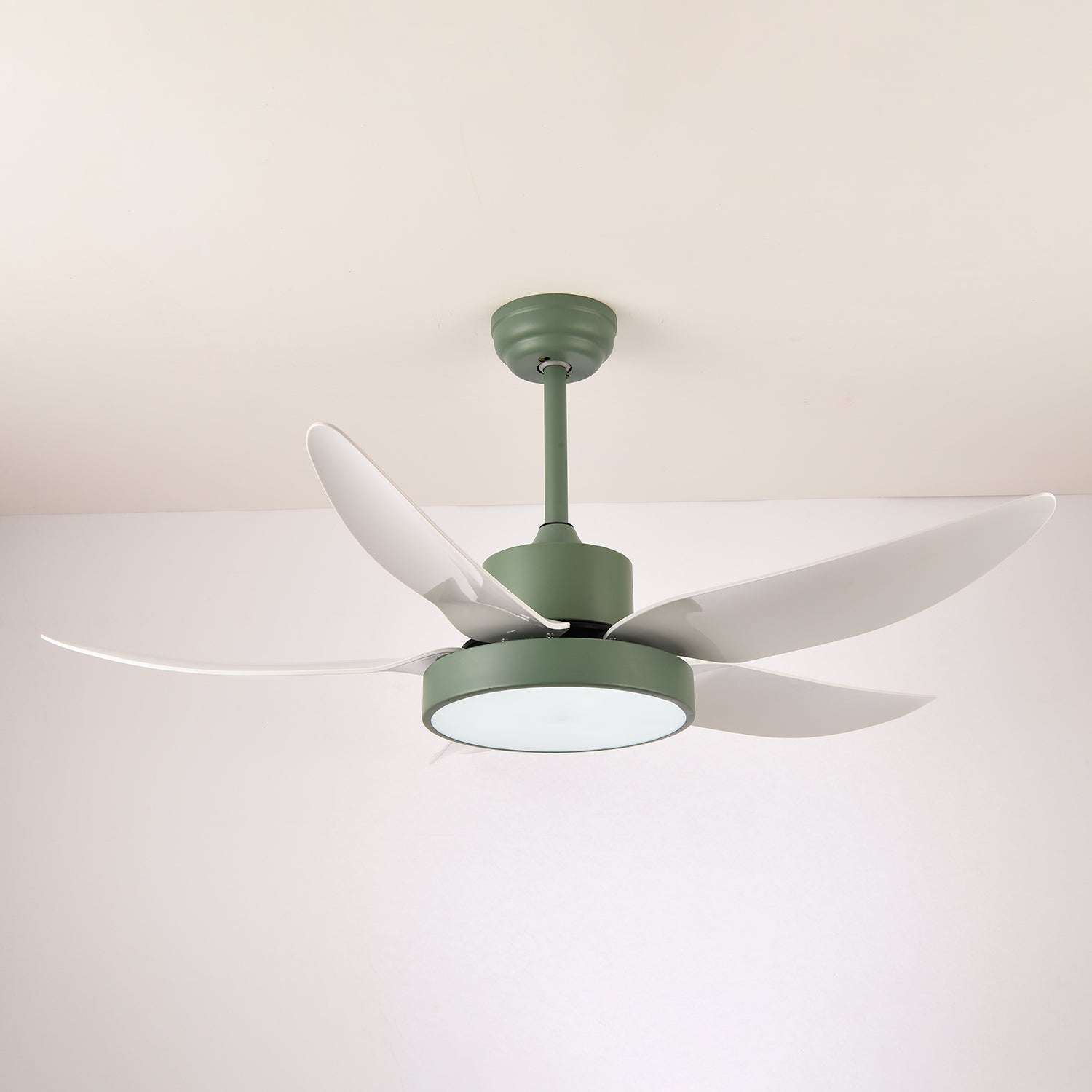 Selalise Modern Ceiling Fan Light