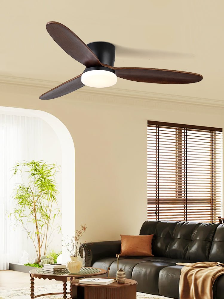 Athyrs Ceiling Fan Light