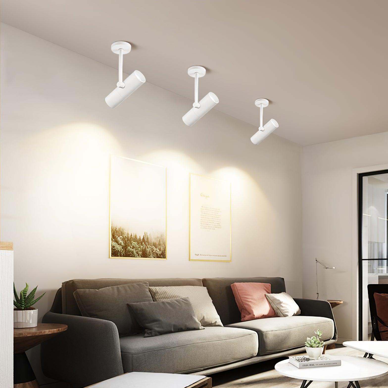 Velina Ceiling Light Cylinder Spotlight Industrial for Loft Study