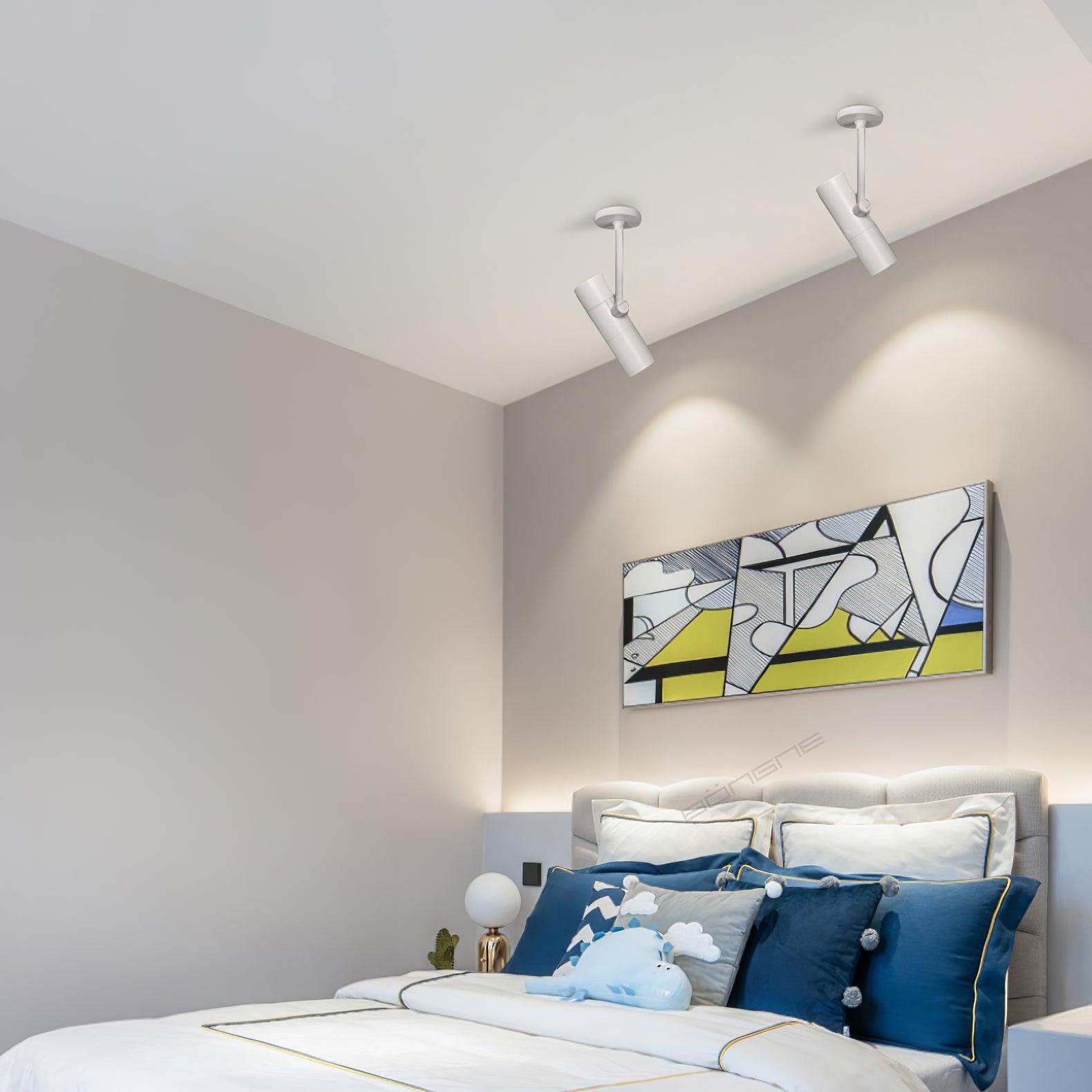 Velina Ceiling Light Cylinder Spotlight Industrial for Loft Study