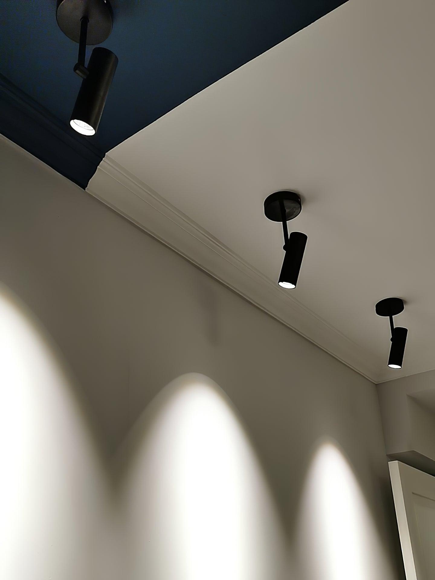 Velina Ceiling Light Cylinder Spotlight Industrial for Loft Study