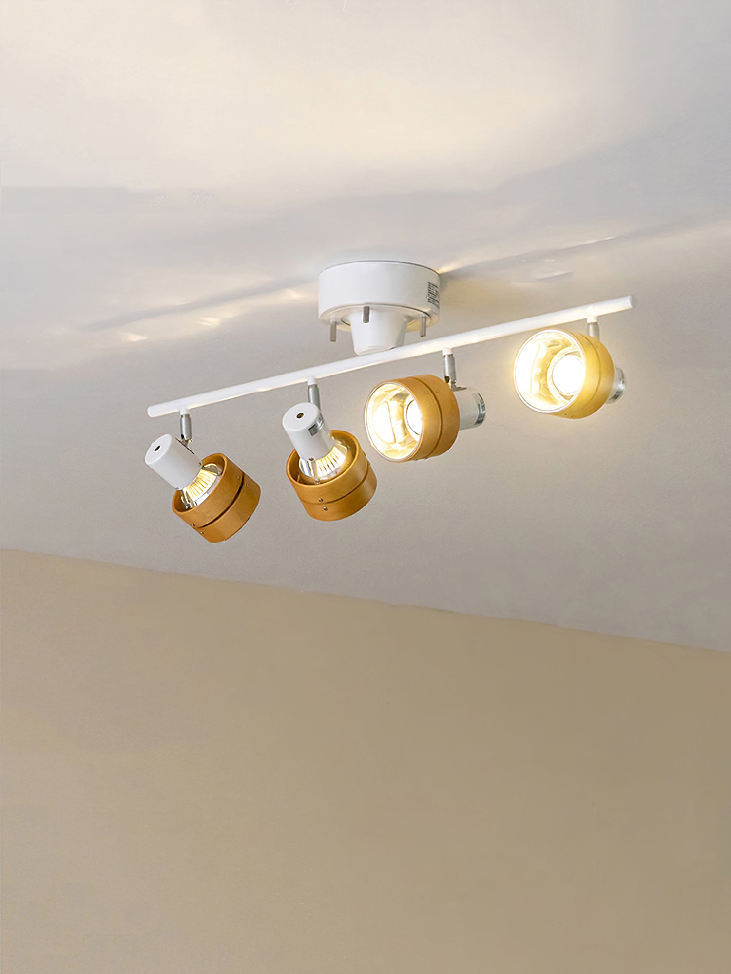 Lumarine Ceiling Lamp