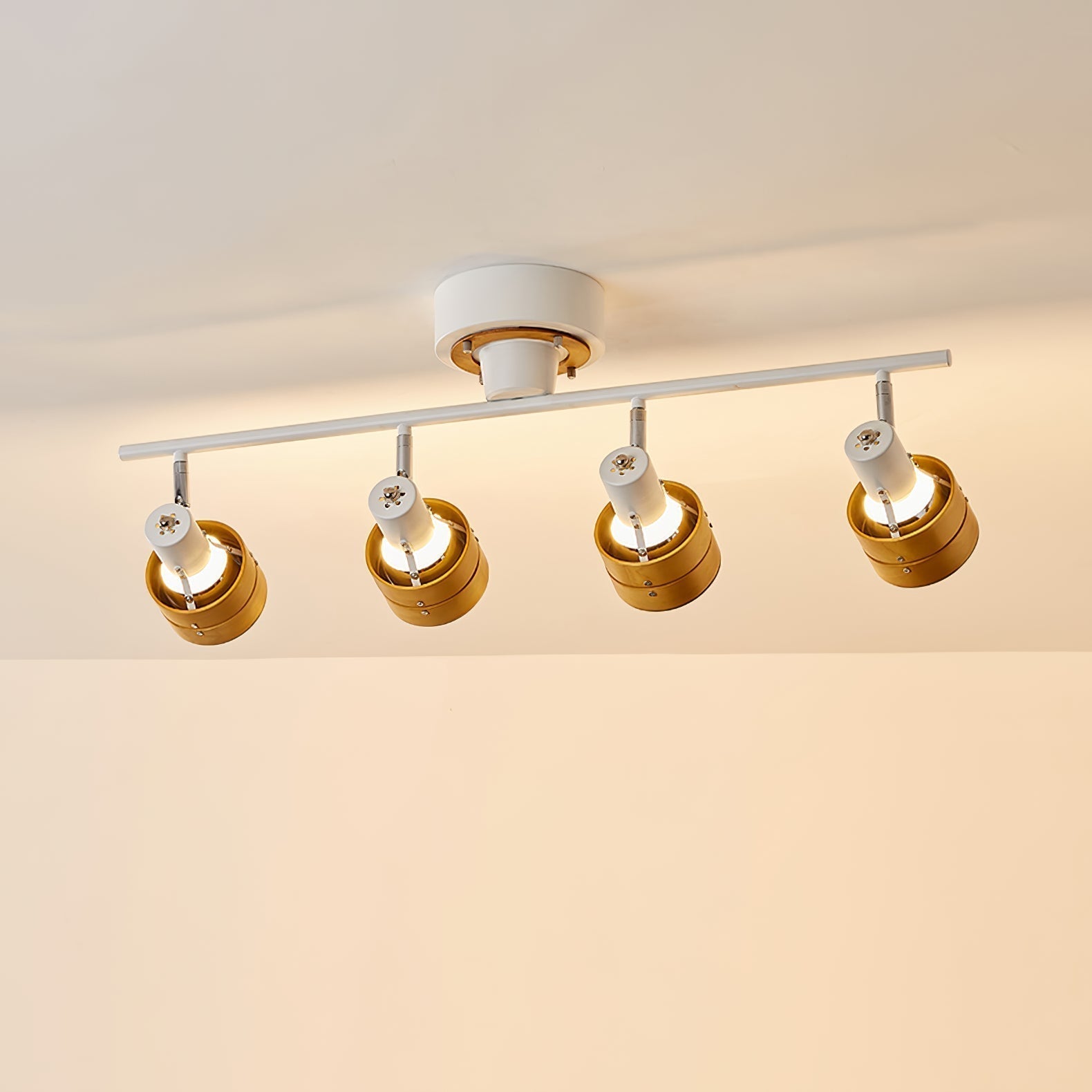 Lumarine Ceiling Lamp