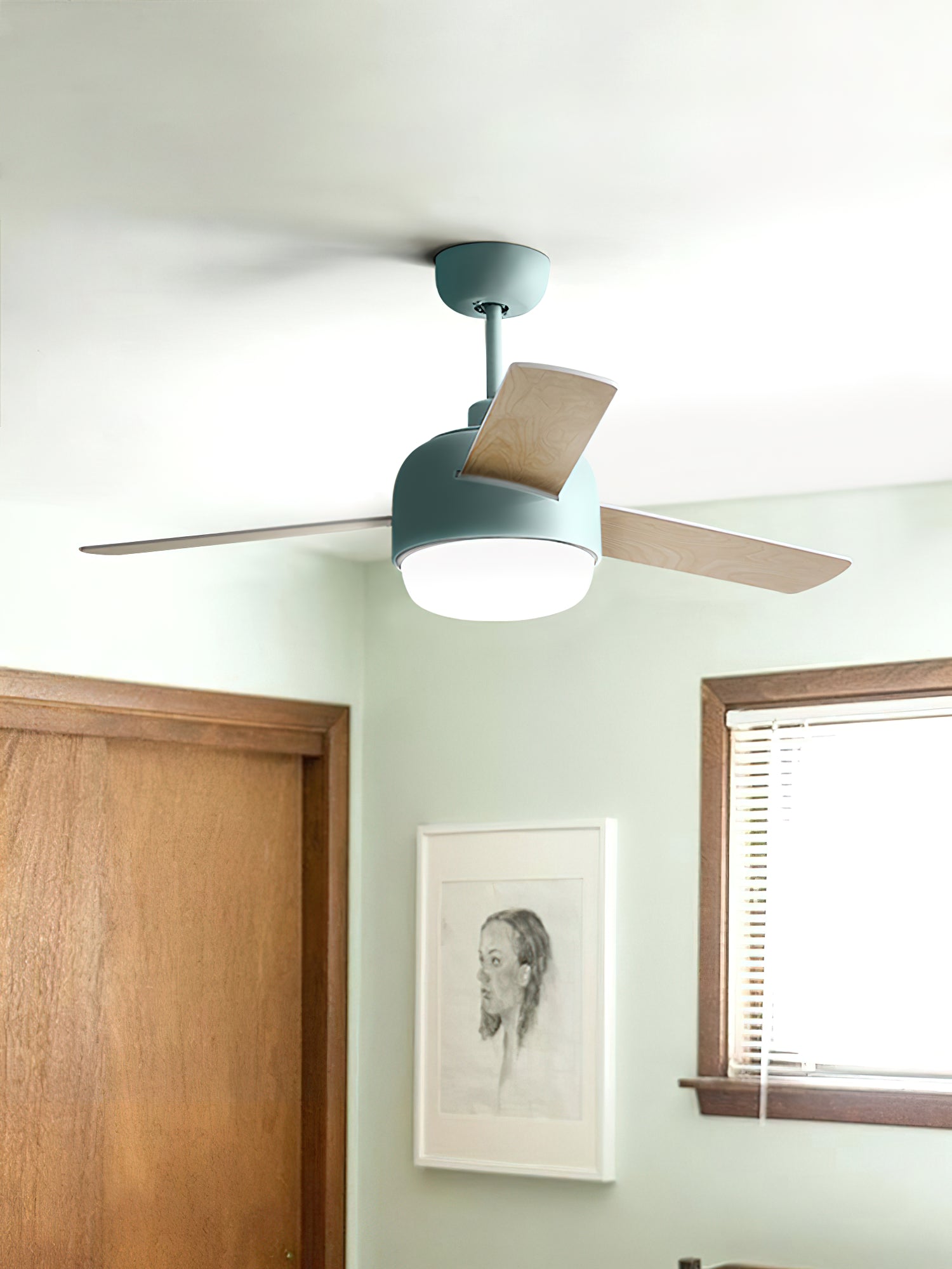 Cirareon Ceiling Fan Light