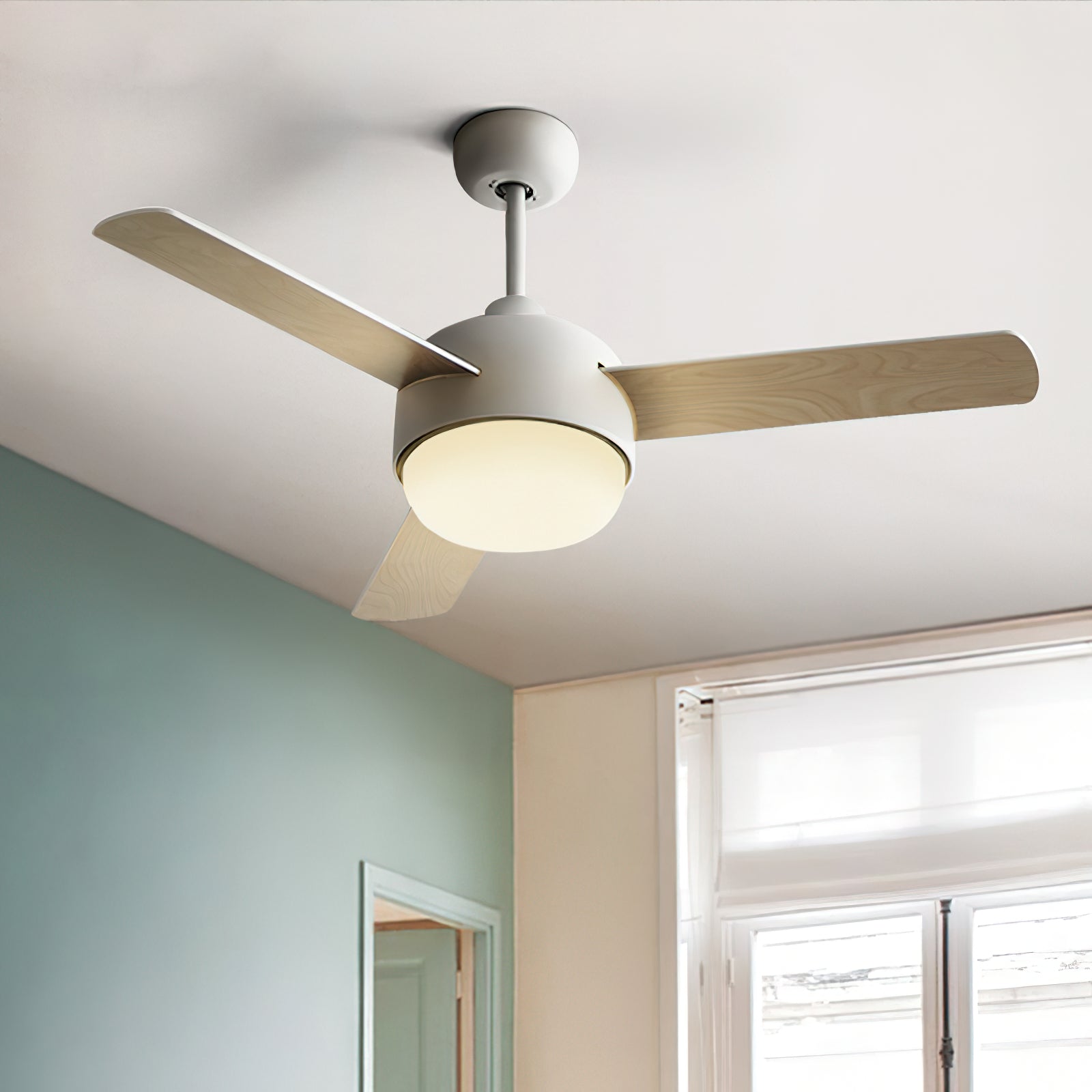 Cirareon Ceiling Fan Light