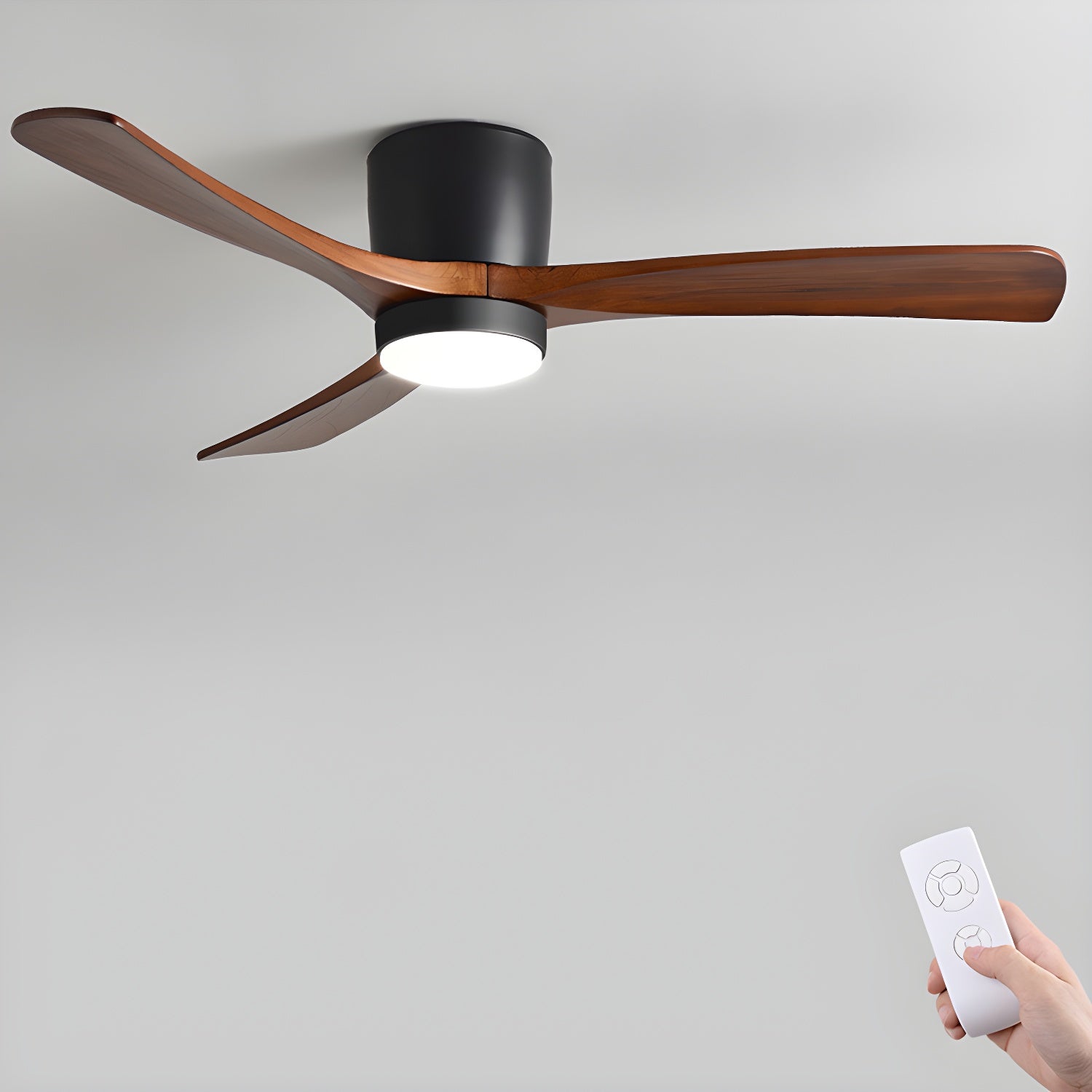 Elaerine Ceiling Fan Light