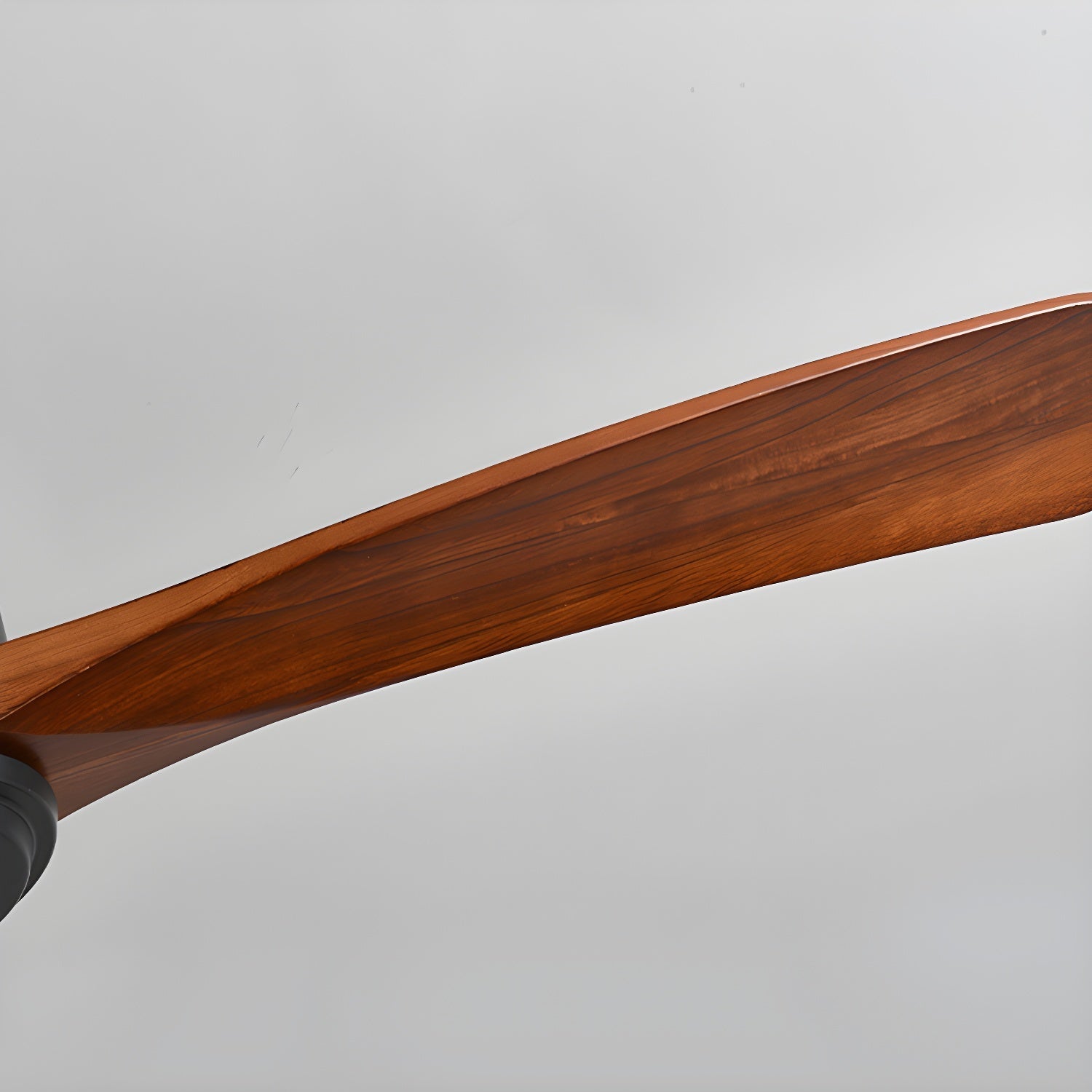 Elaerine Ceiling Fan Light