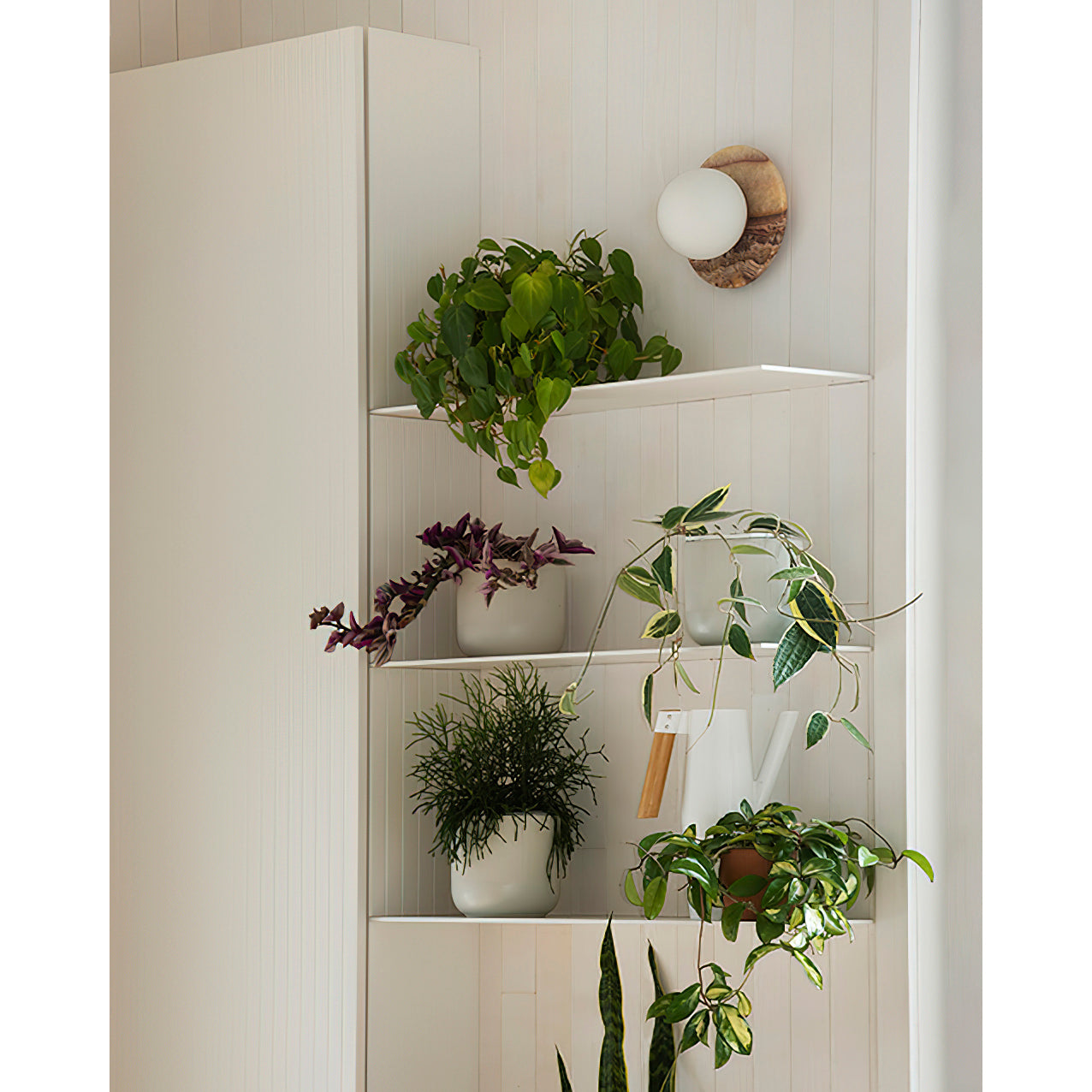 Ovyna Wall Lamp