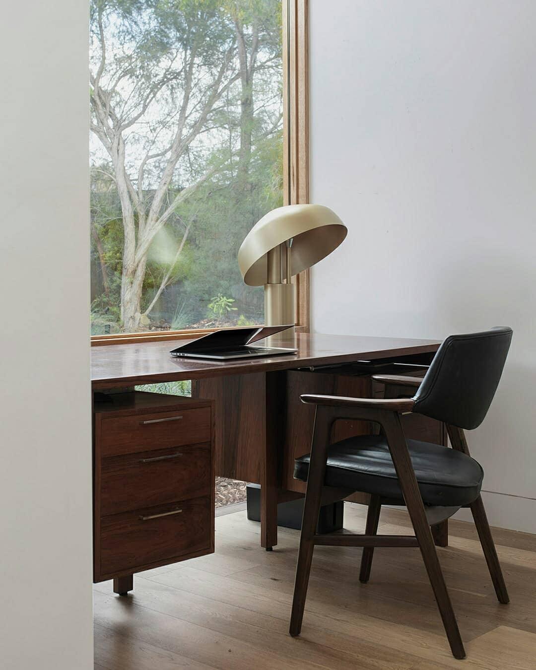 Kite Organic Brass Desk Lamp