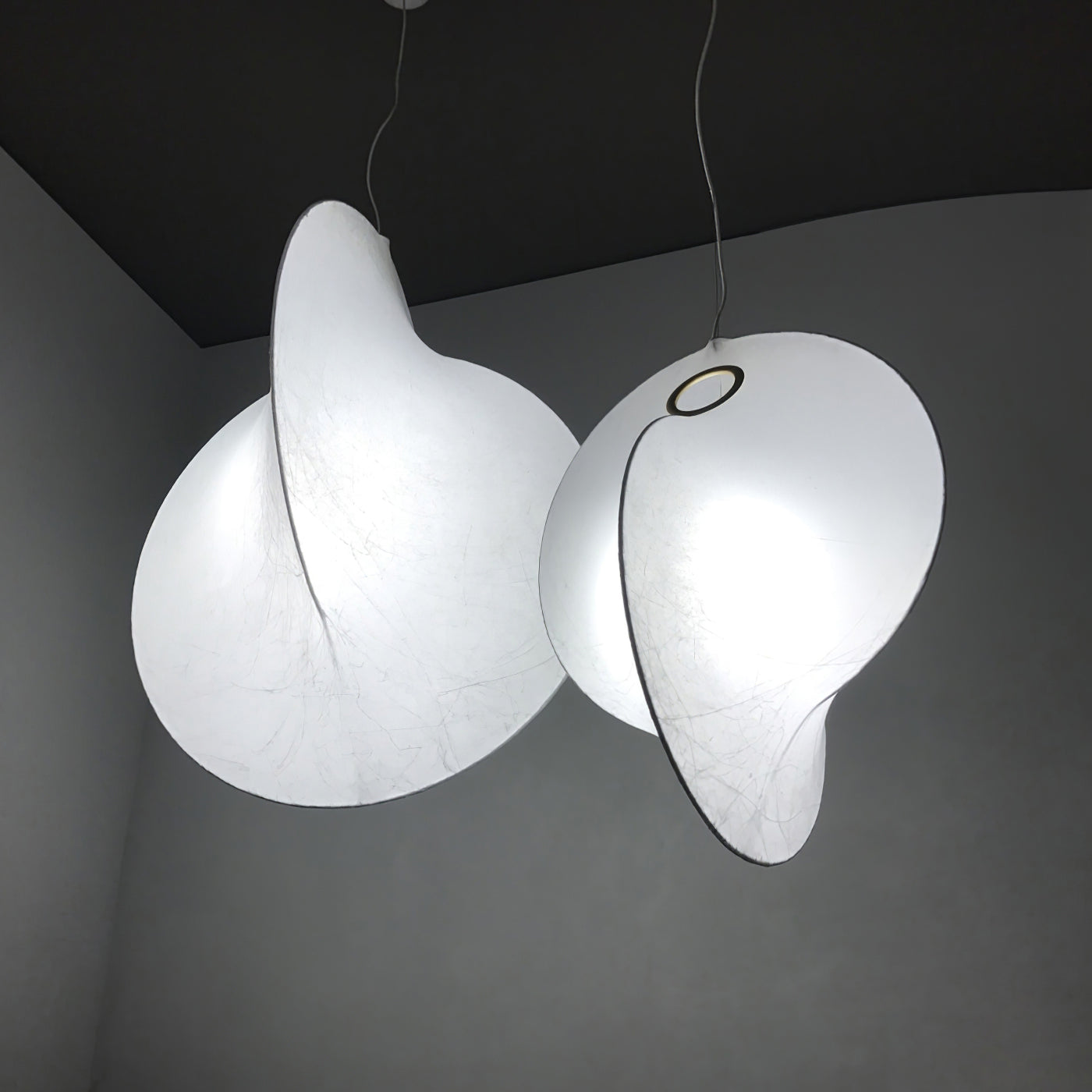 Ferivora Steel Artistic Pendant Lamp
