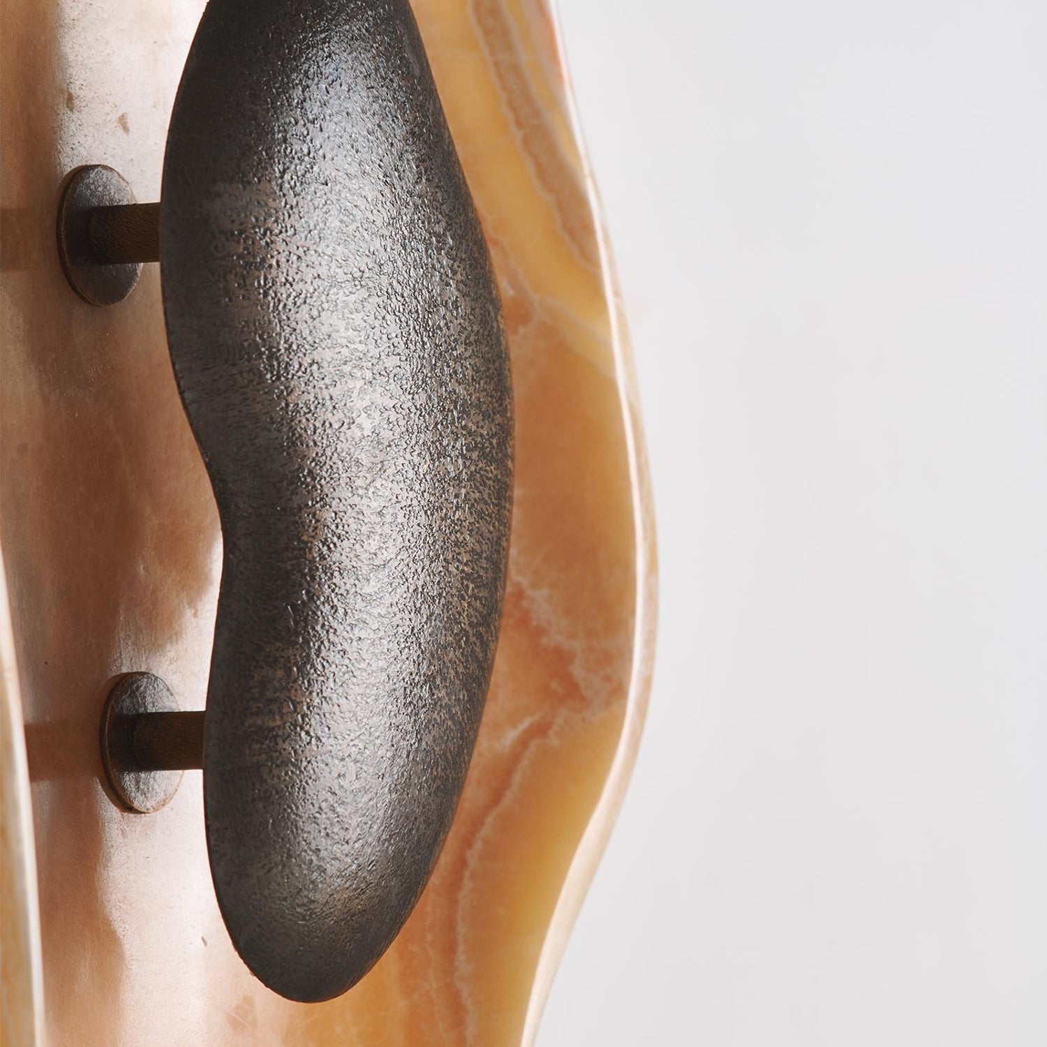 Viraiaria Wall Sconce