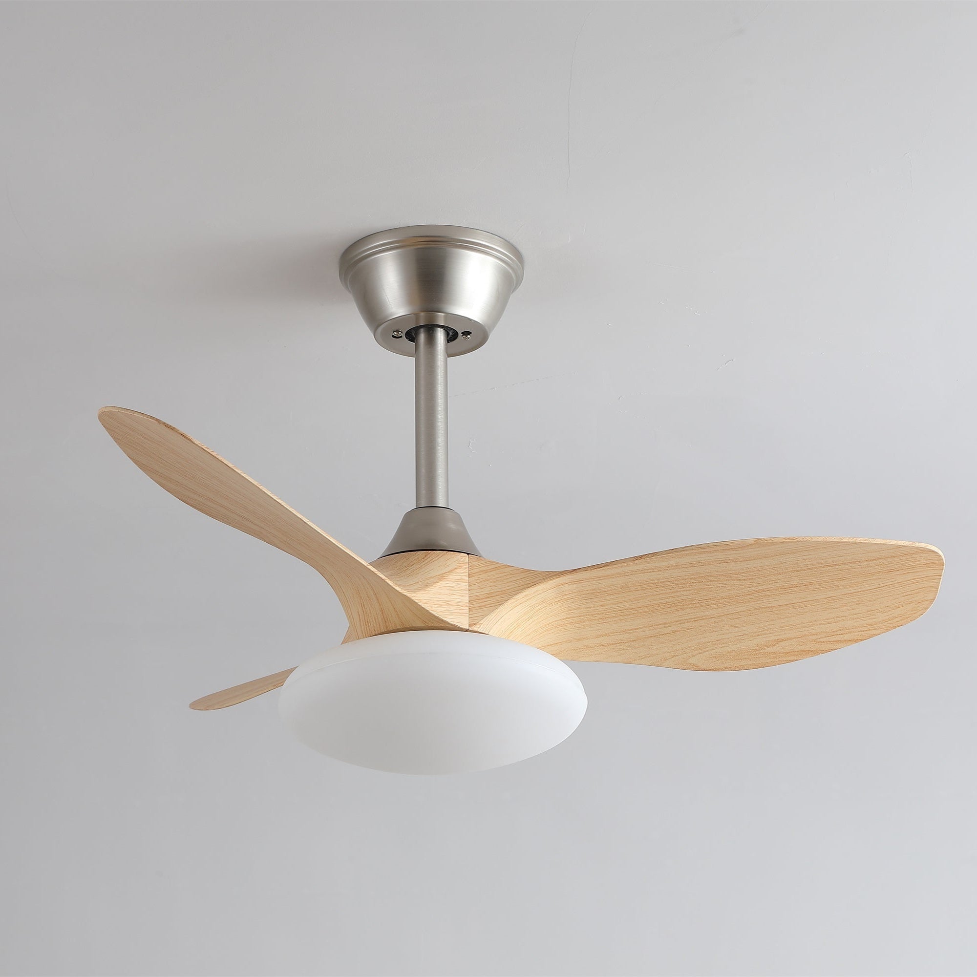 Sylvara Ceiling Fan Light