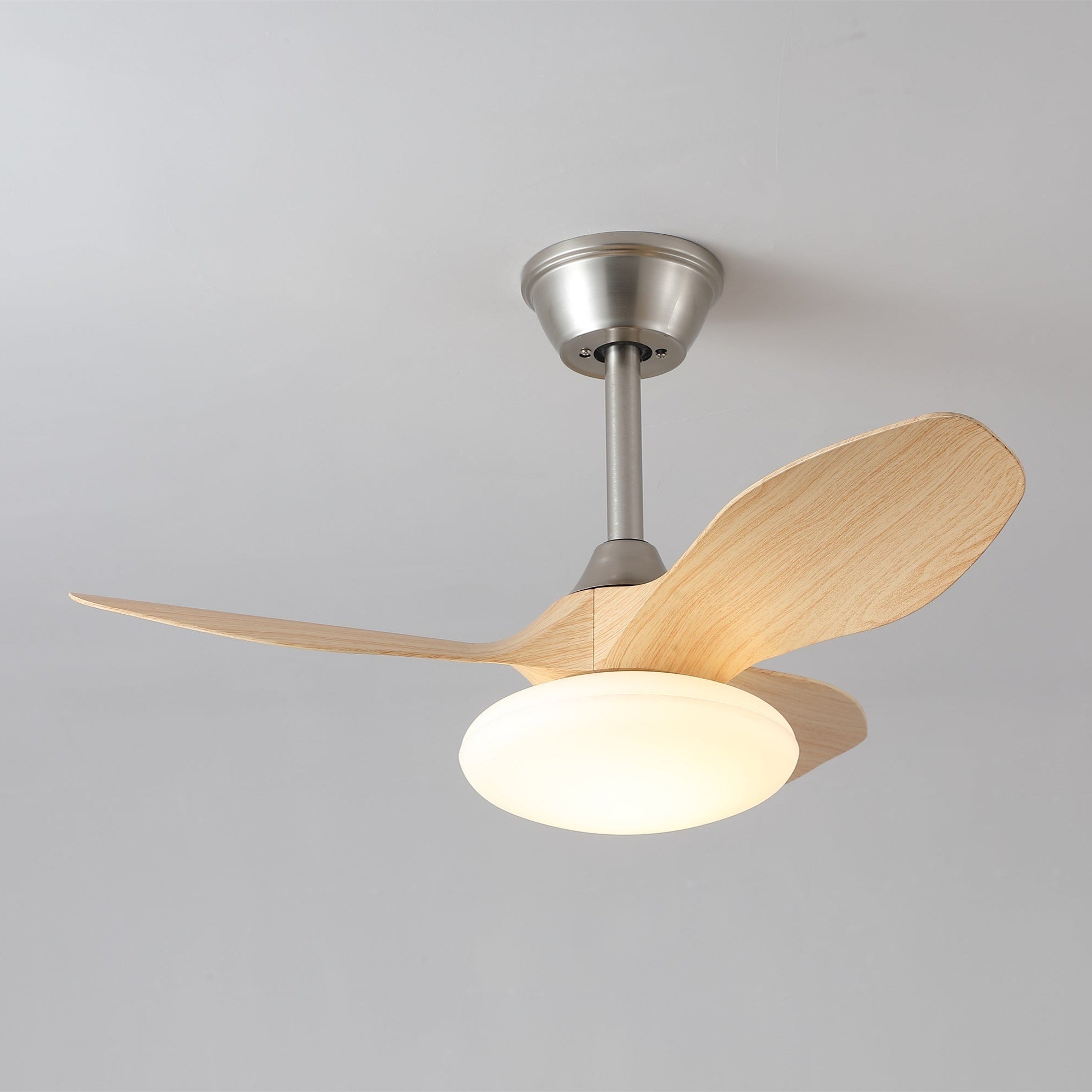 Sylvara Ceiling Fan Light