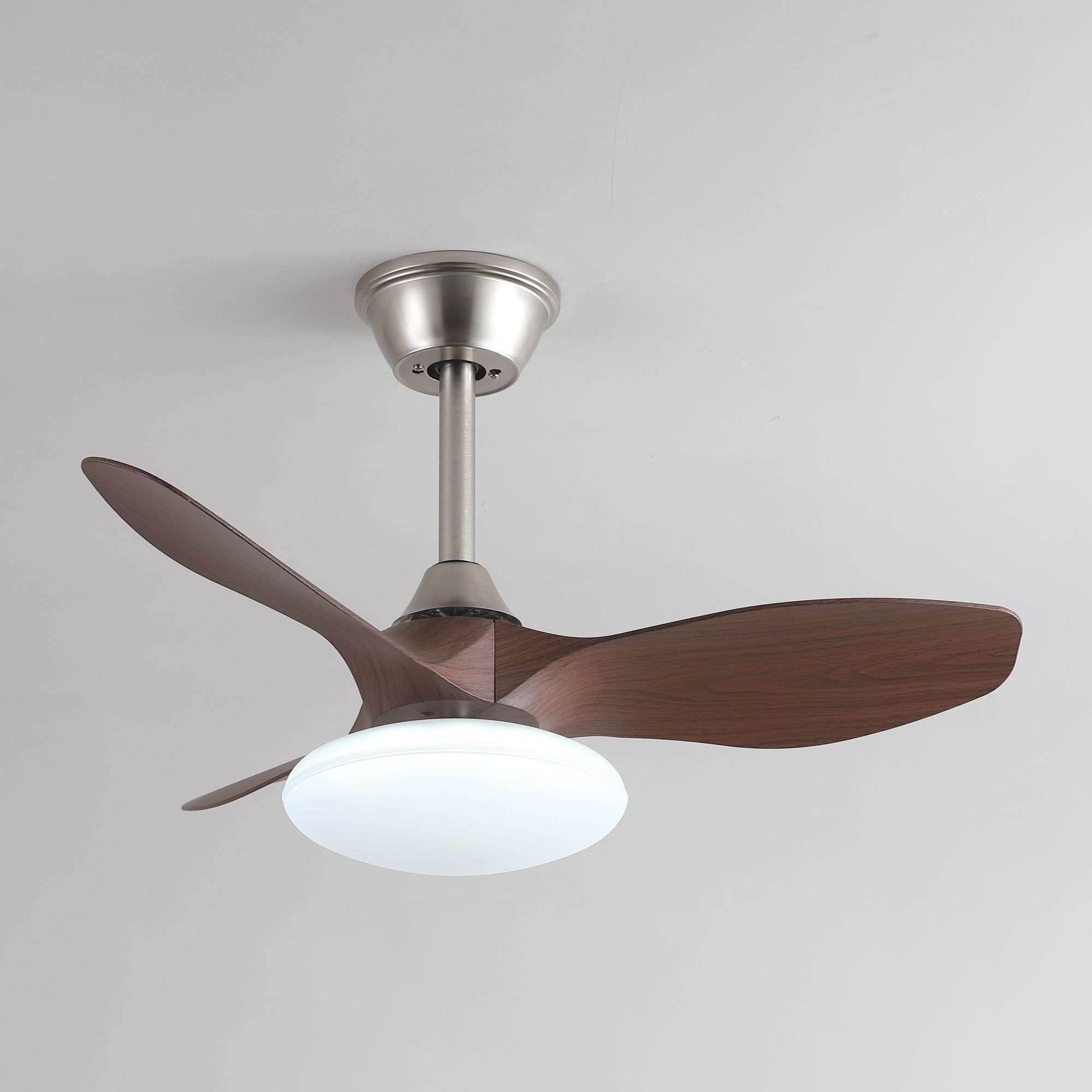 Sylvara Ceiling Fan Light