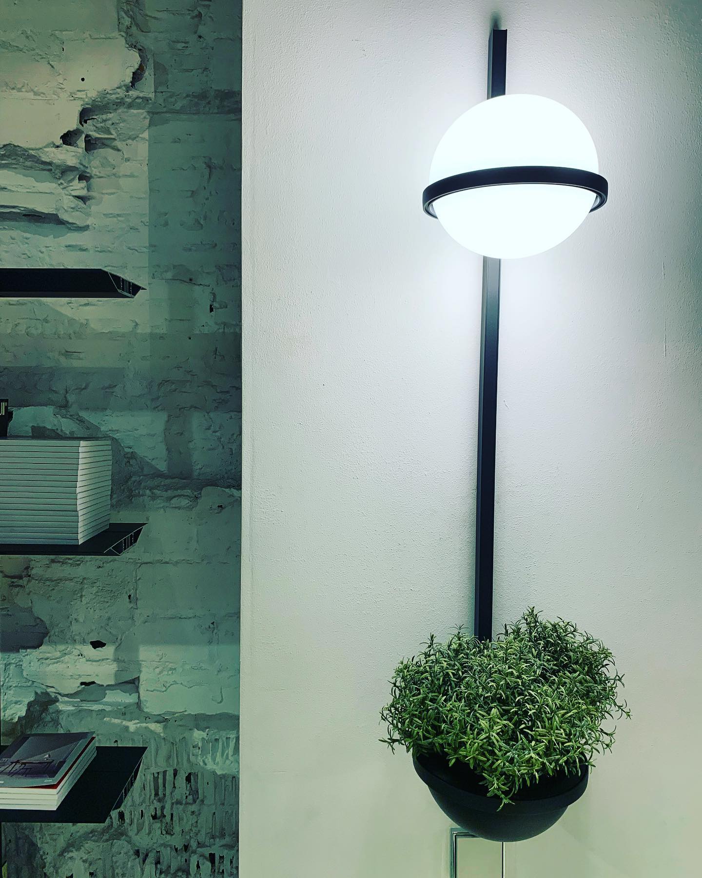 Olthaarae Plastic Wall Lamp