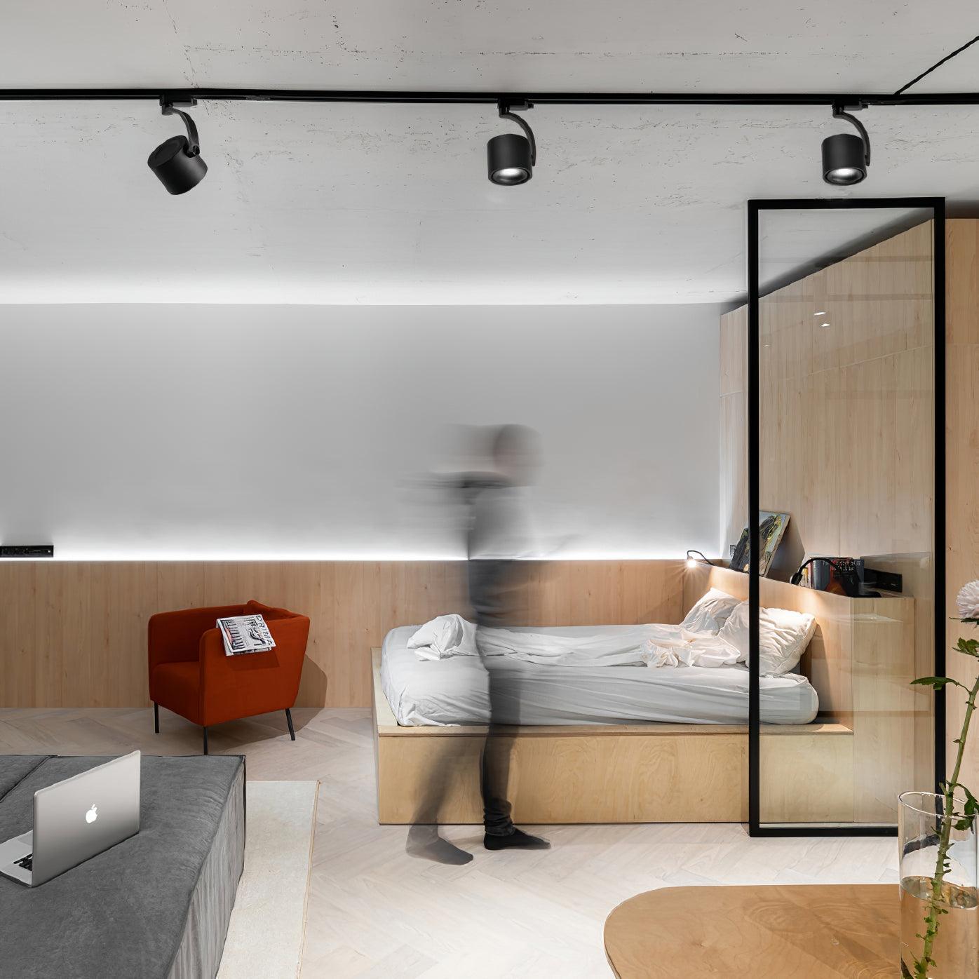 Focus Sleek Aluminum Ceiling Light