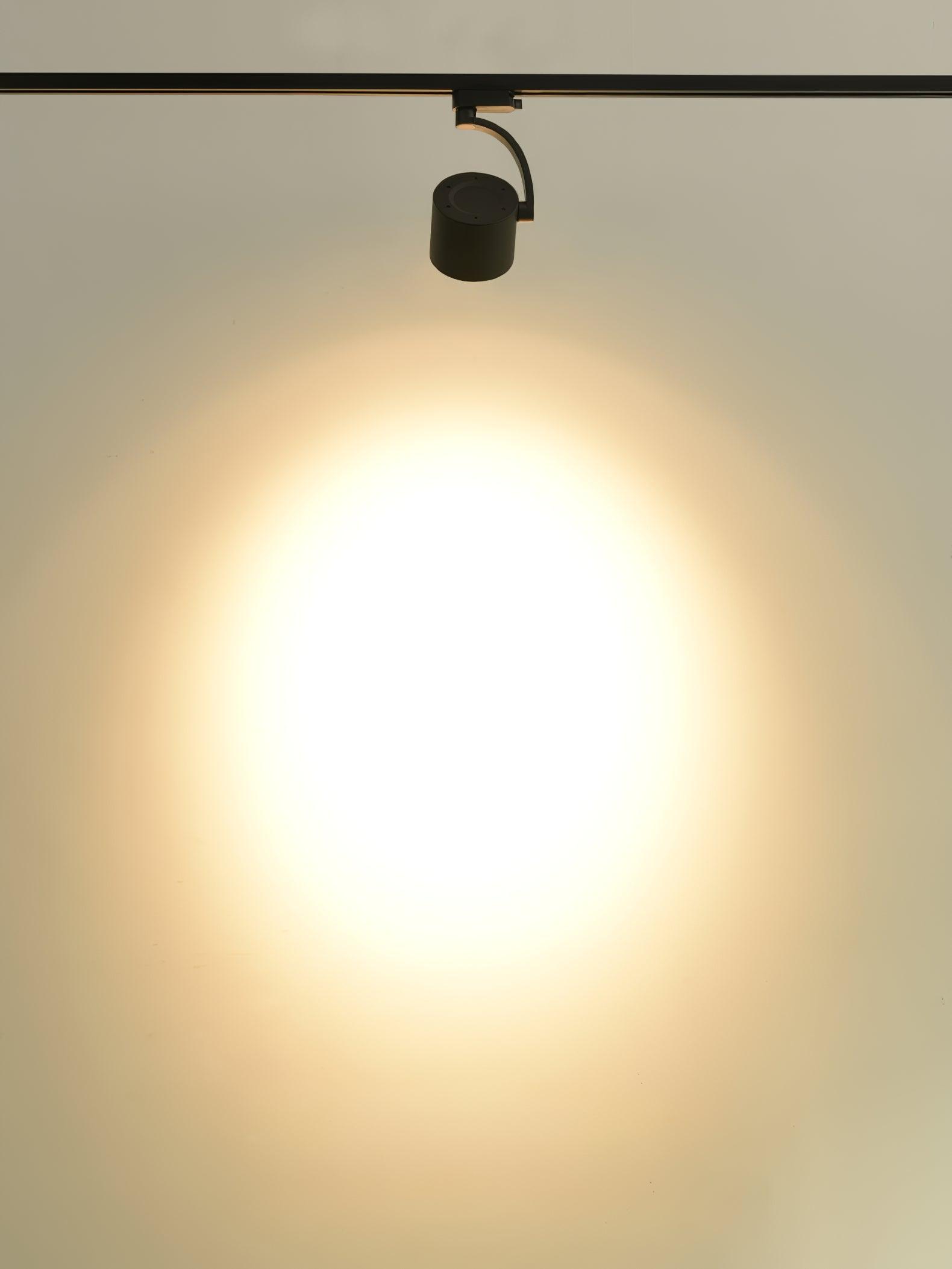 Focus Sleek Aluminum Ceiling Light