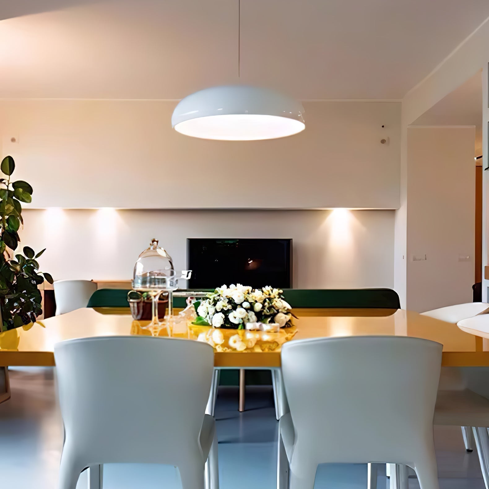 Renaraine Minimalist Pendant Lamp