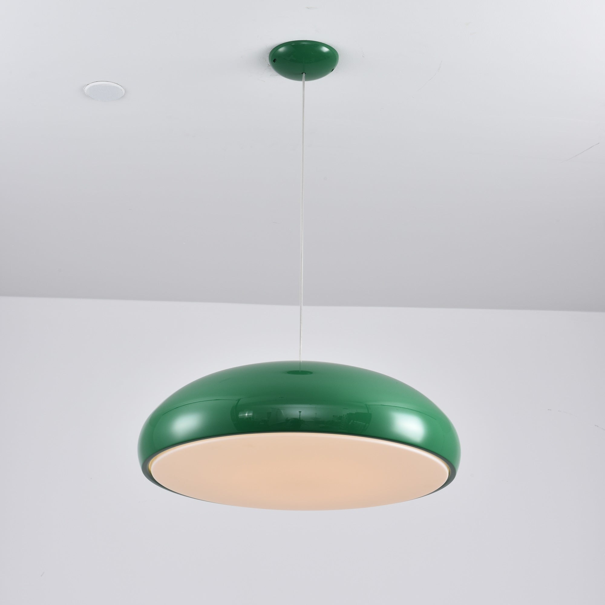 Renaraine Minimalist Pendant Lamp