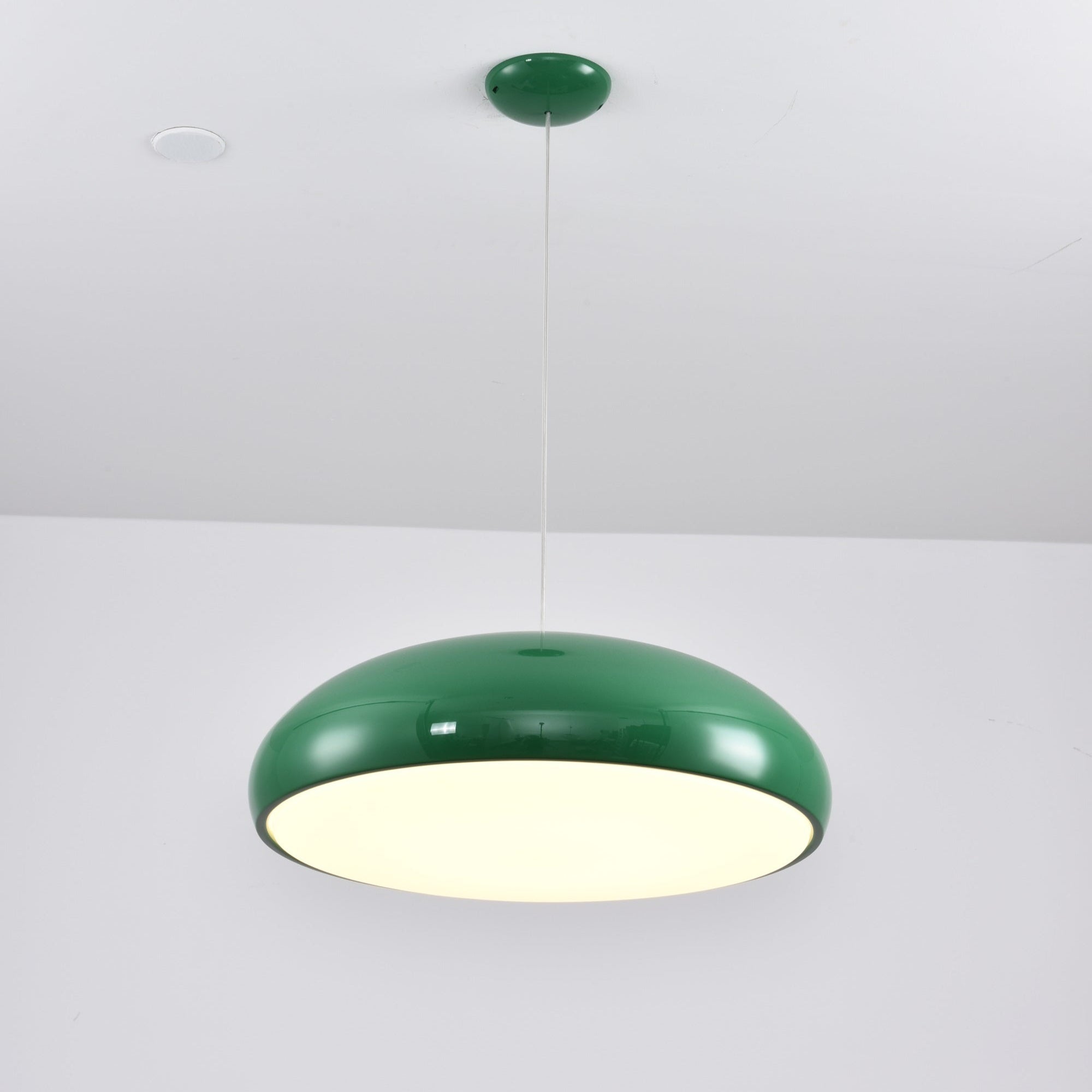 Renaraine Minimalist Pendant Lamp