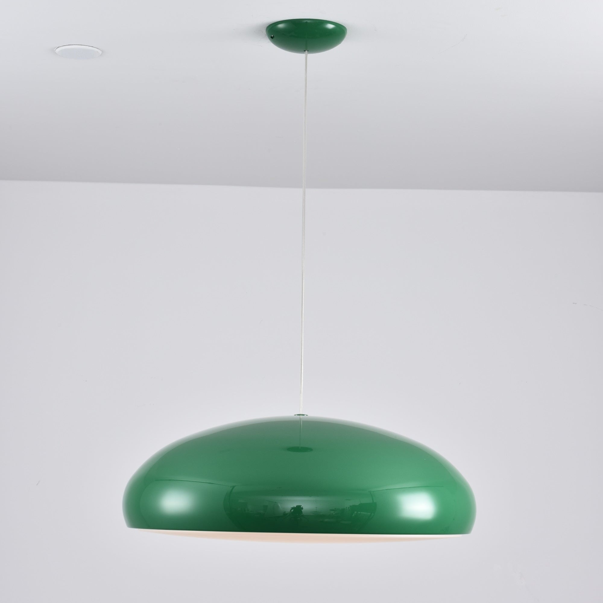 Renaraine Minimalist Pendant Lamp