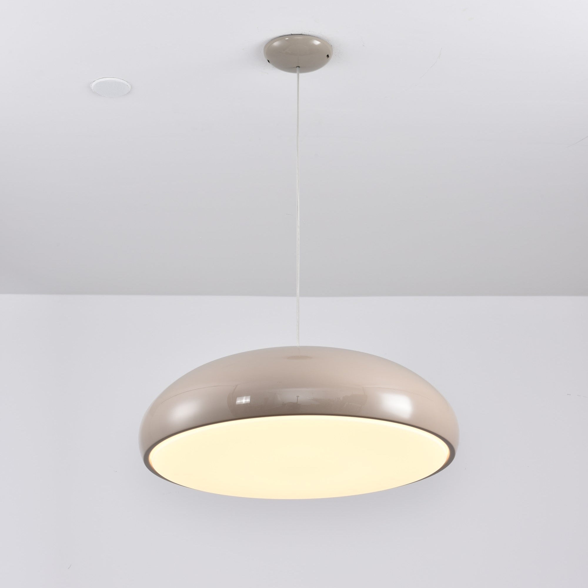 Renaraine Minimalist Pendant Lamp